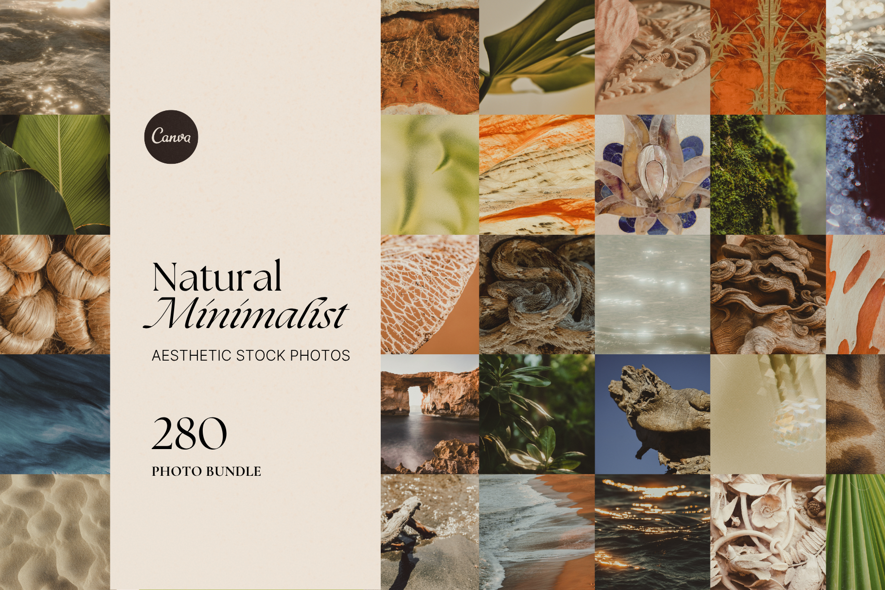 Natural Minimalist Stock Photo Bundle