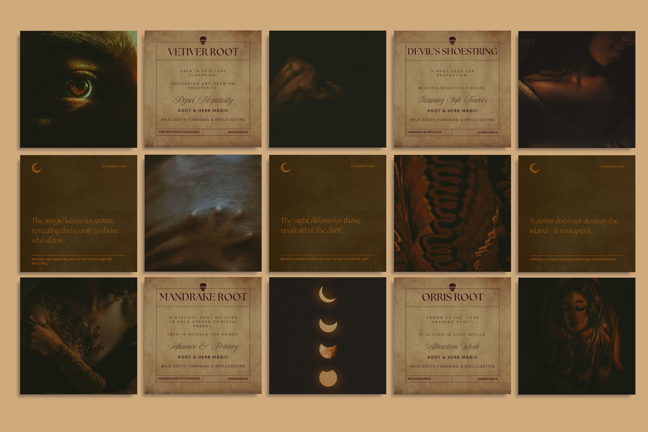 Dark Tropical Canva Template Bundle 6
