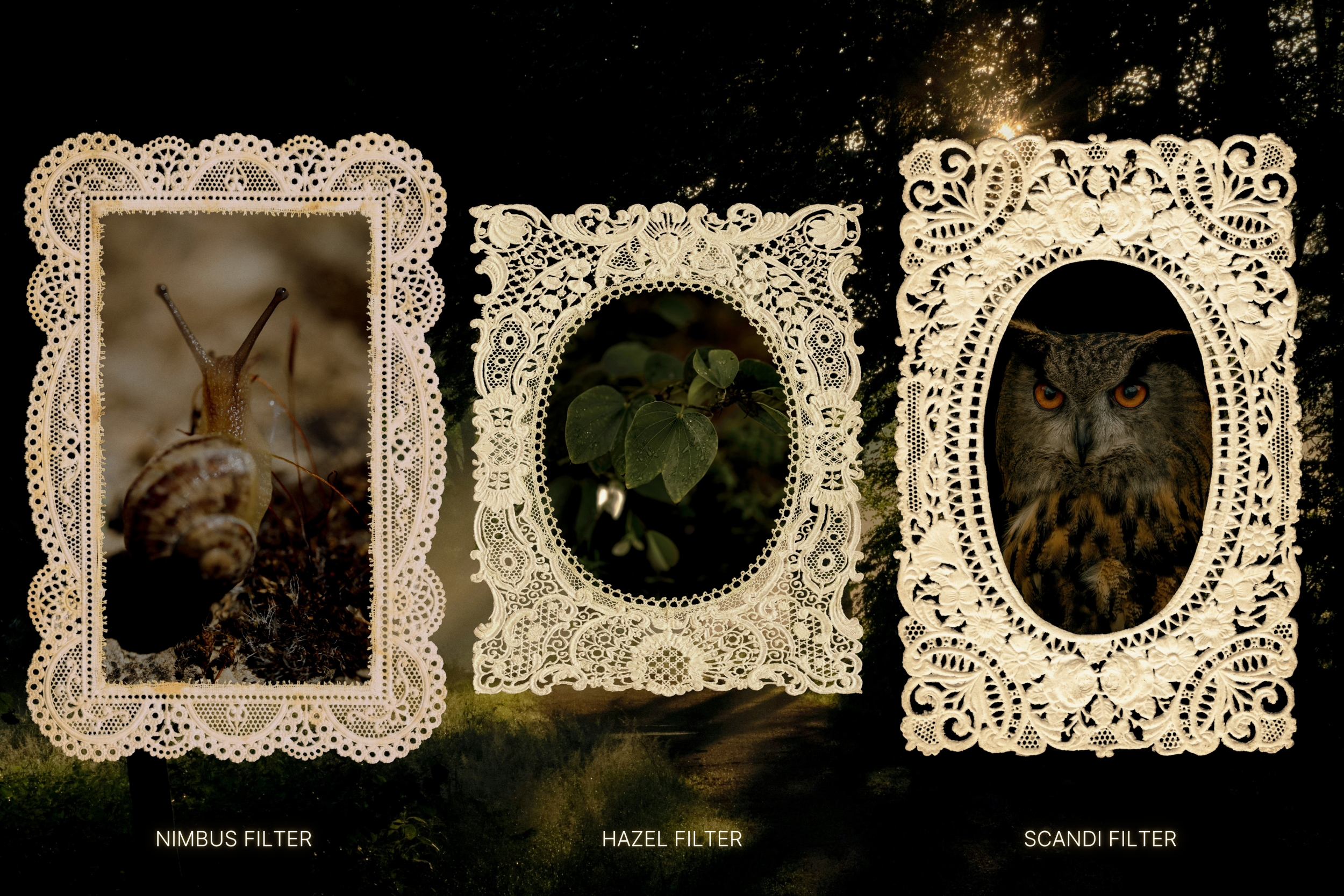 Sacred Lace Frames 18