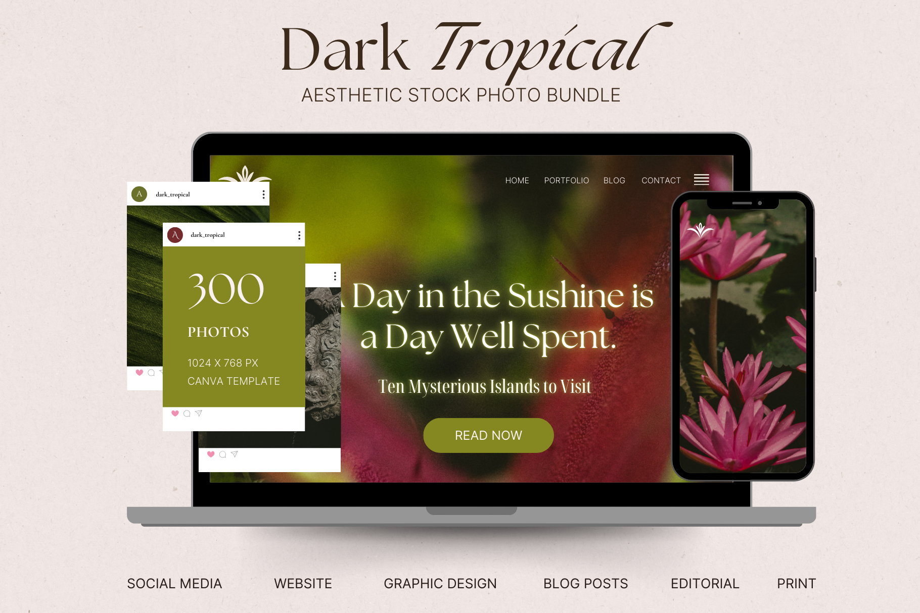 Dark Tropical Stock Photo Bundle 2