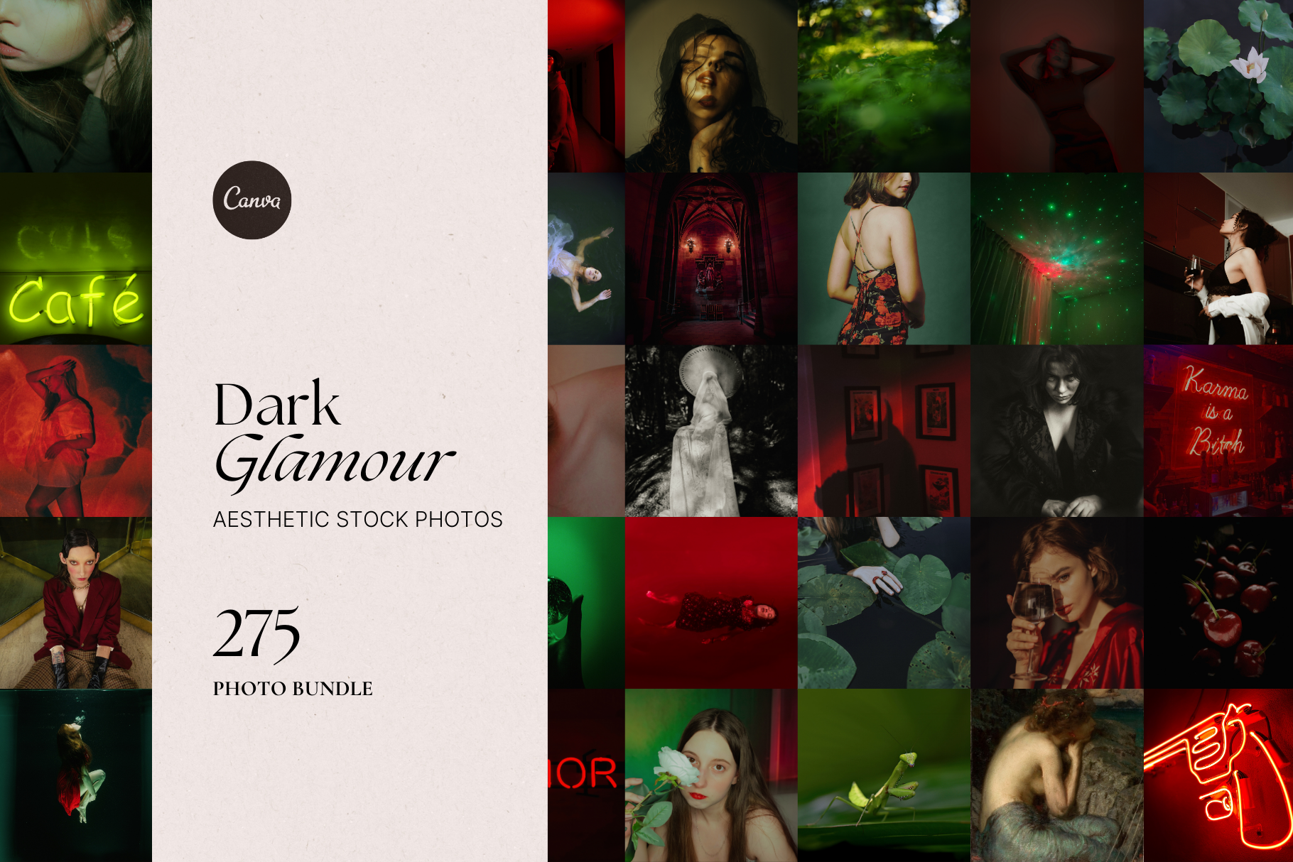 Dark Glamour Stock Photo Bundle