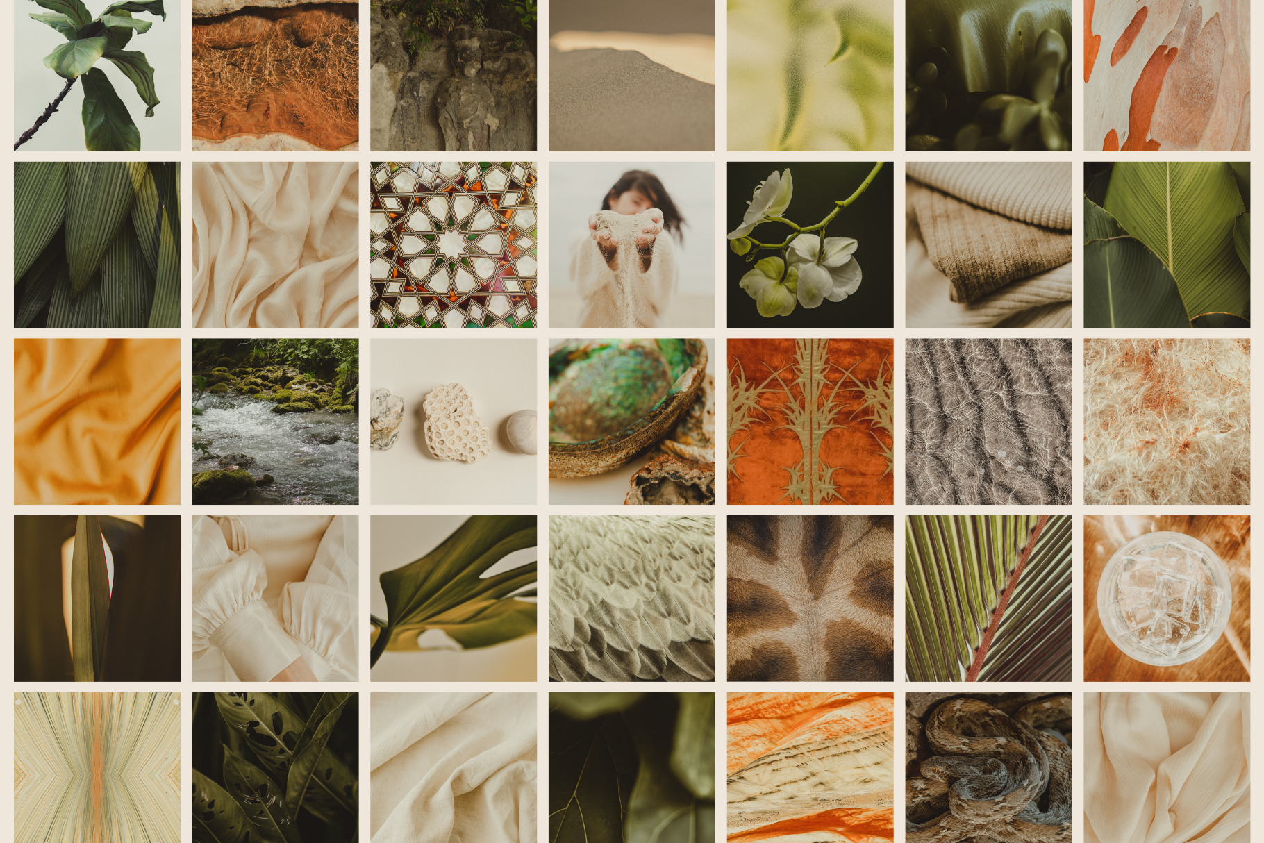 Natural Minimalist Stock Photo Bundle 10