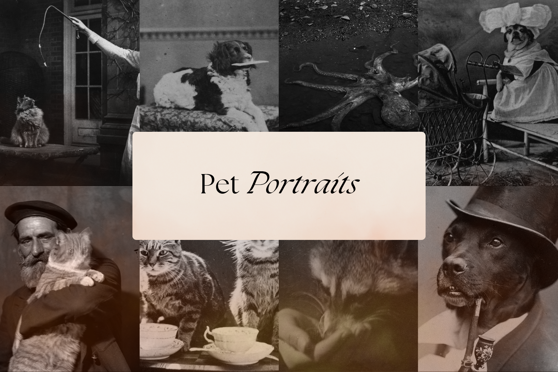 Dark Ephemera Stock Photo Bundle 6