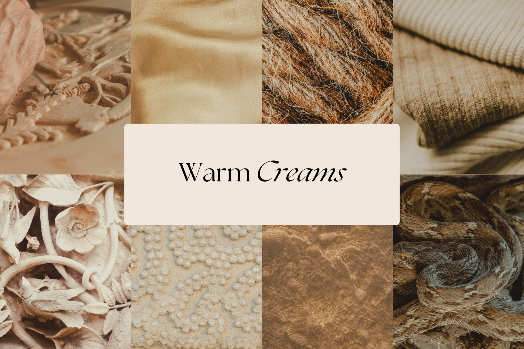 Natural Minimalist Stock Photo Bundle 6