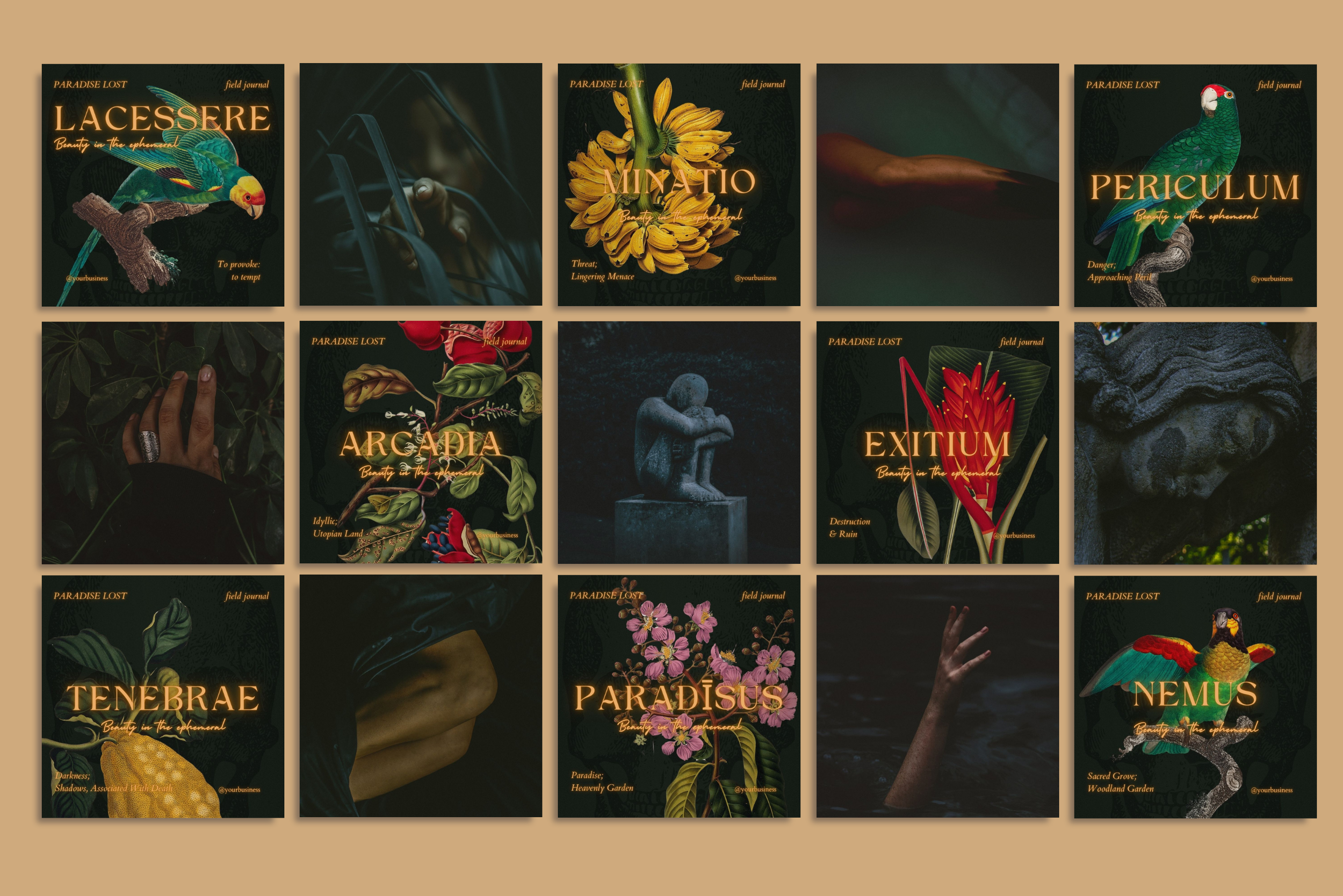 Dark Tropical Canva Template Bundle 10