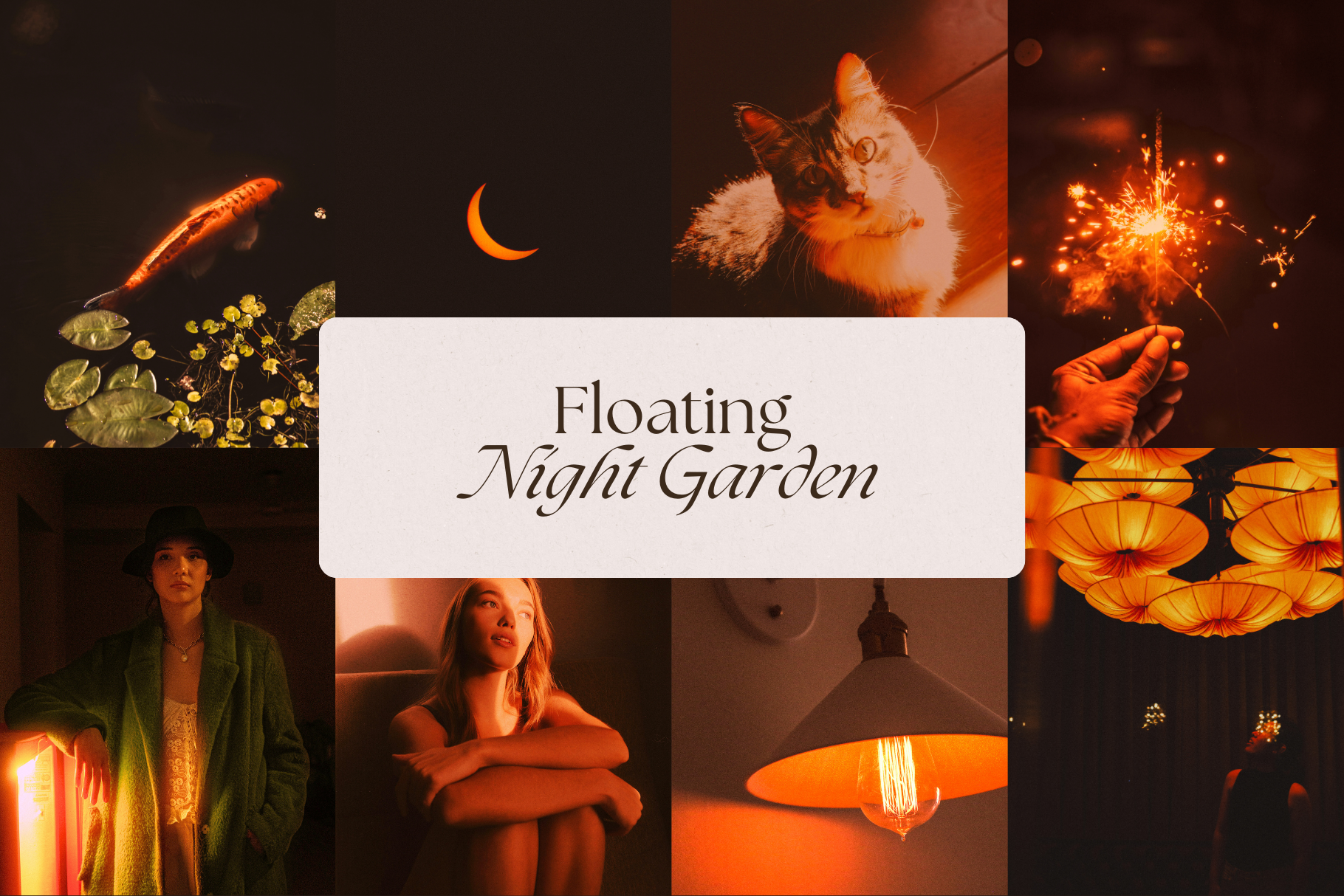 Golden Hour Stock Photo Bundle 5