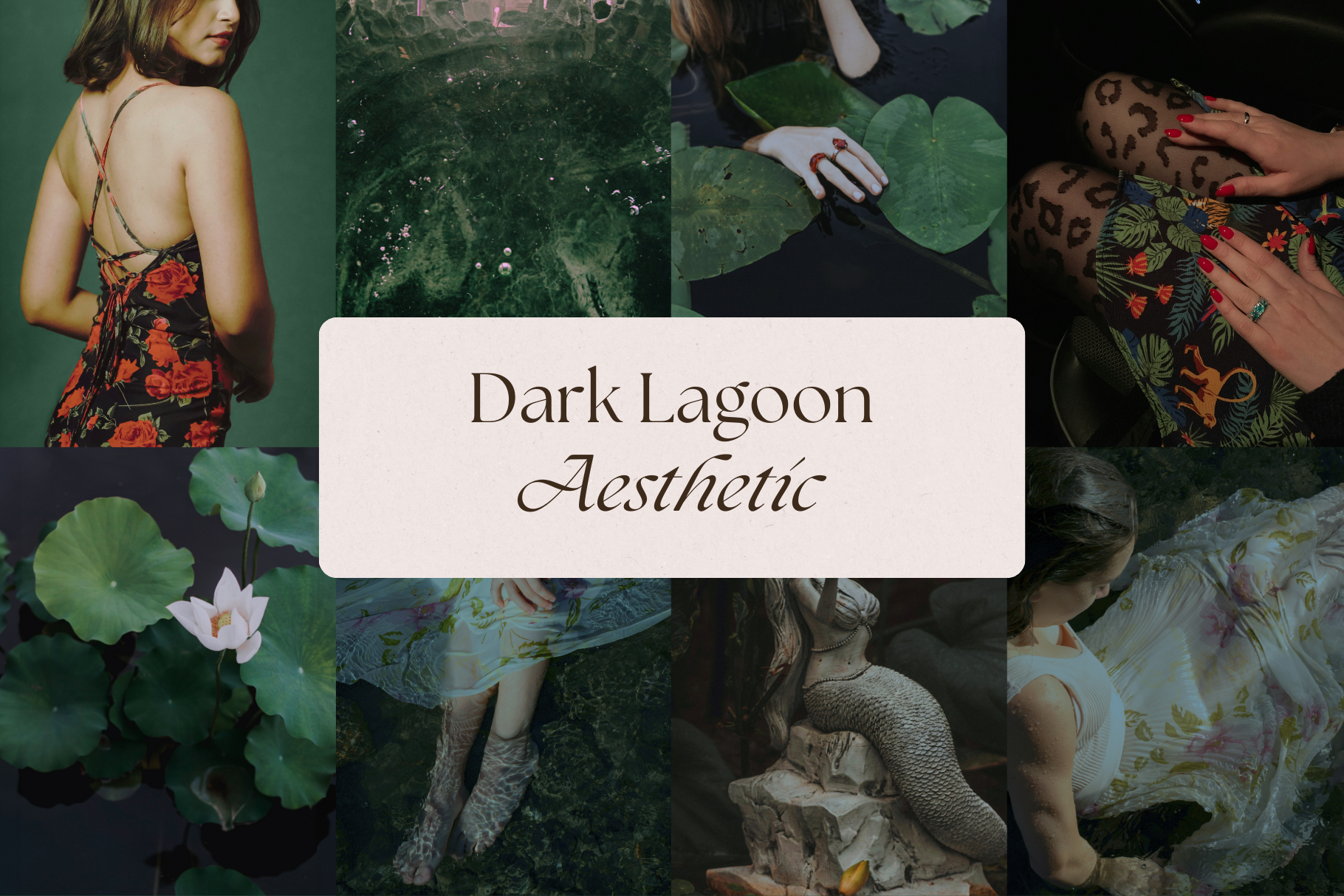 Dark Glamour Stock Photo Bundle 3