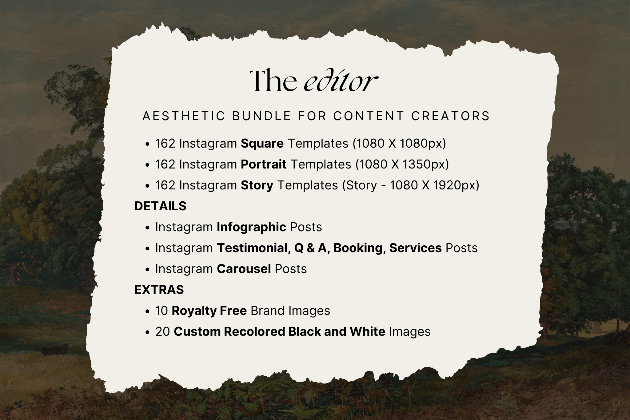 The Editor Canva Social Media Template Bundle 2