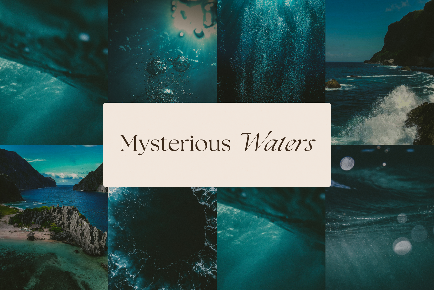 Dark Tropical Stock Photo Bundle 5