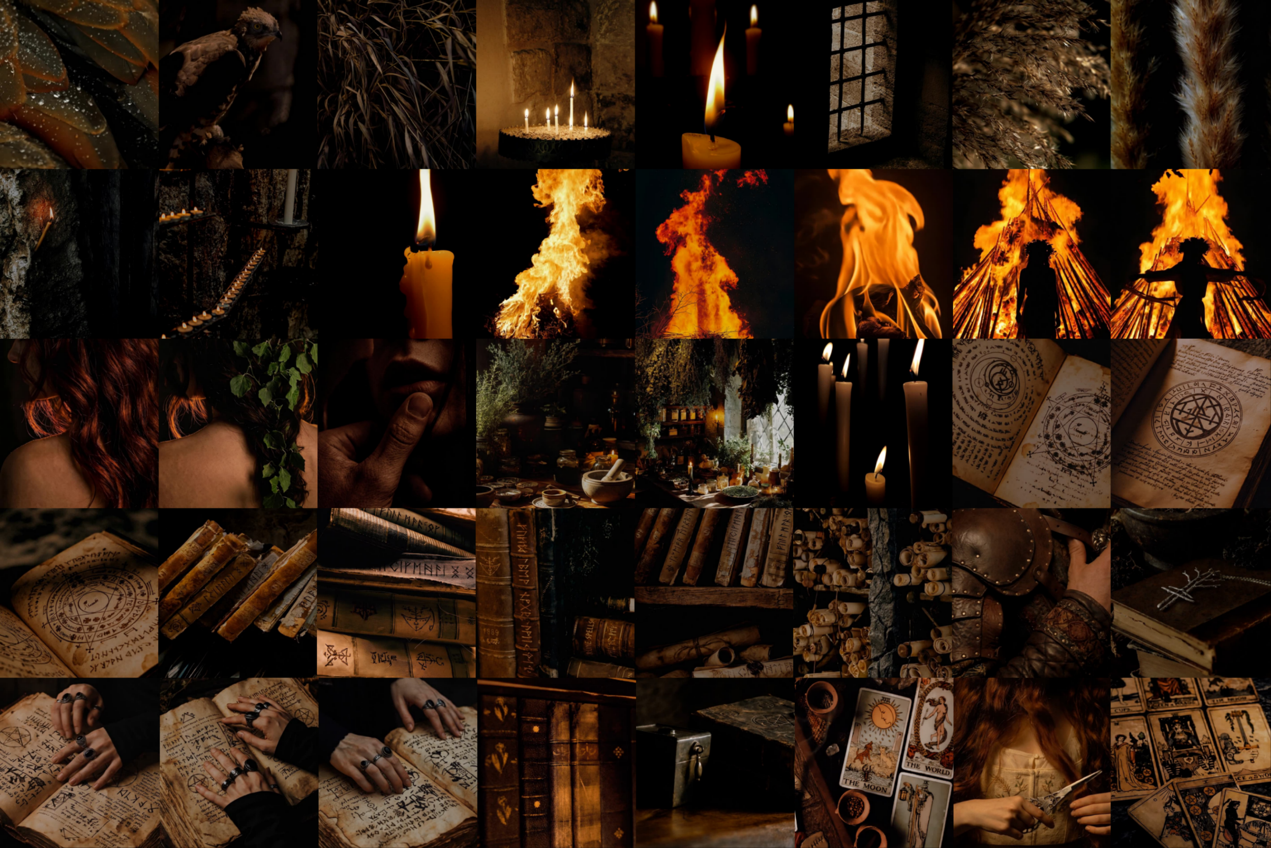 Darkwood Video Collection 18