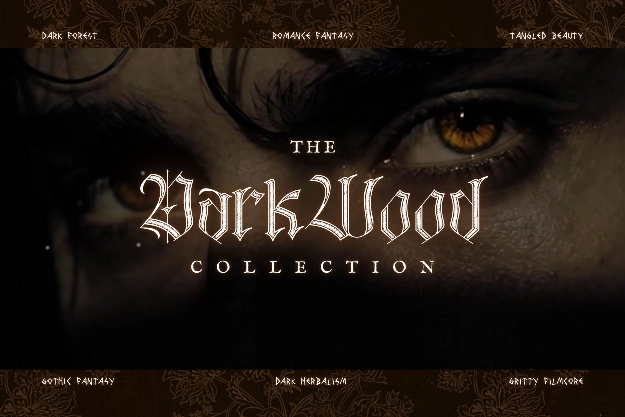 Darkwood Video Collection 3