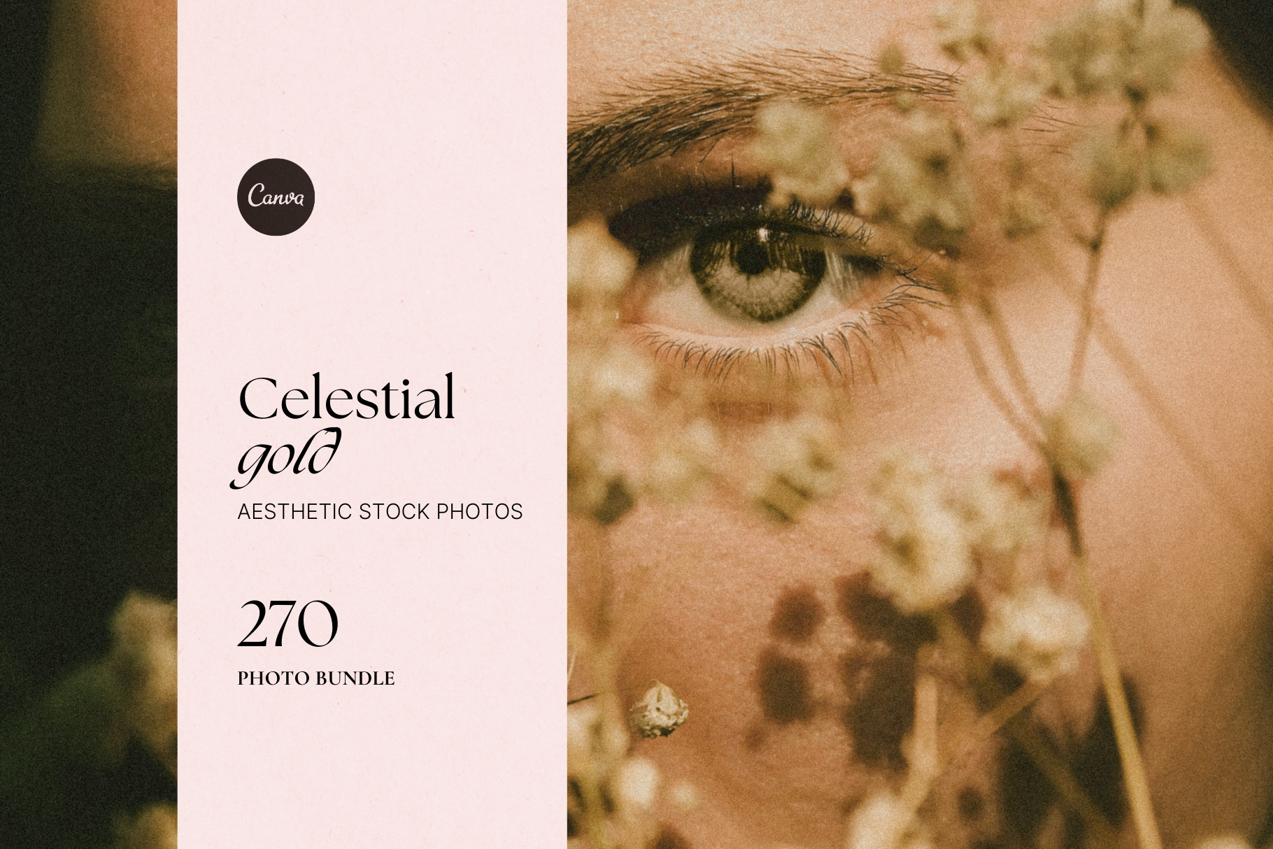 Celestial Gold Stock Photo Bundle 12