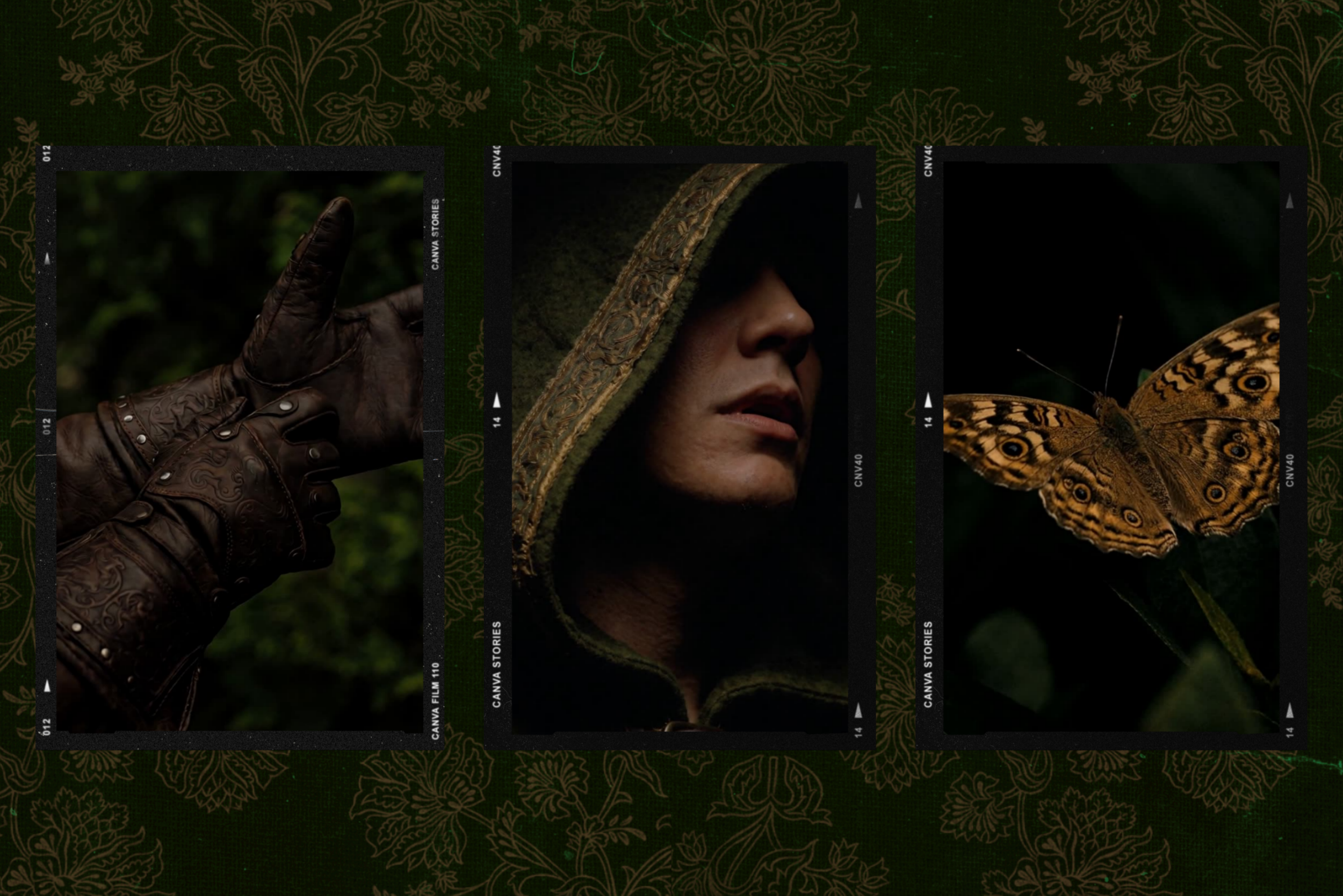Darkwood Video Collection 5
