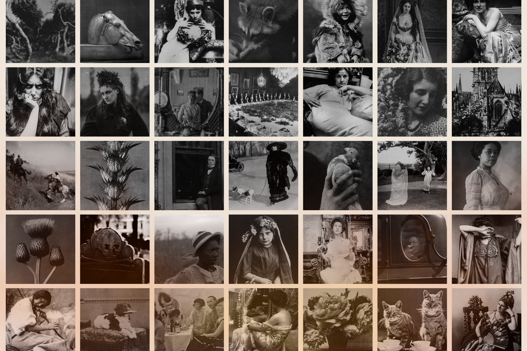 Dark Ephemera Stock Photo Bundle 12