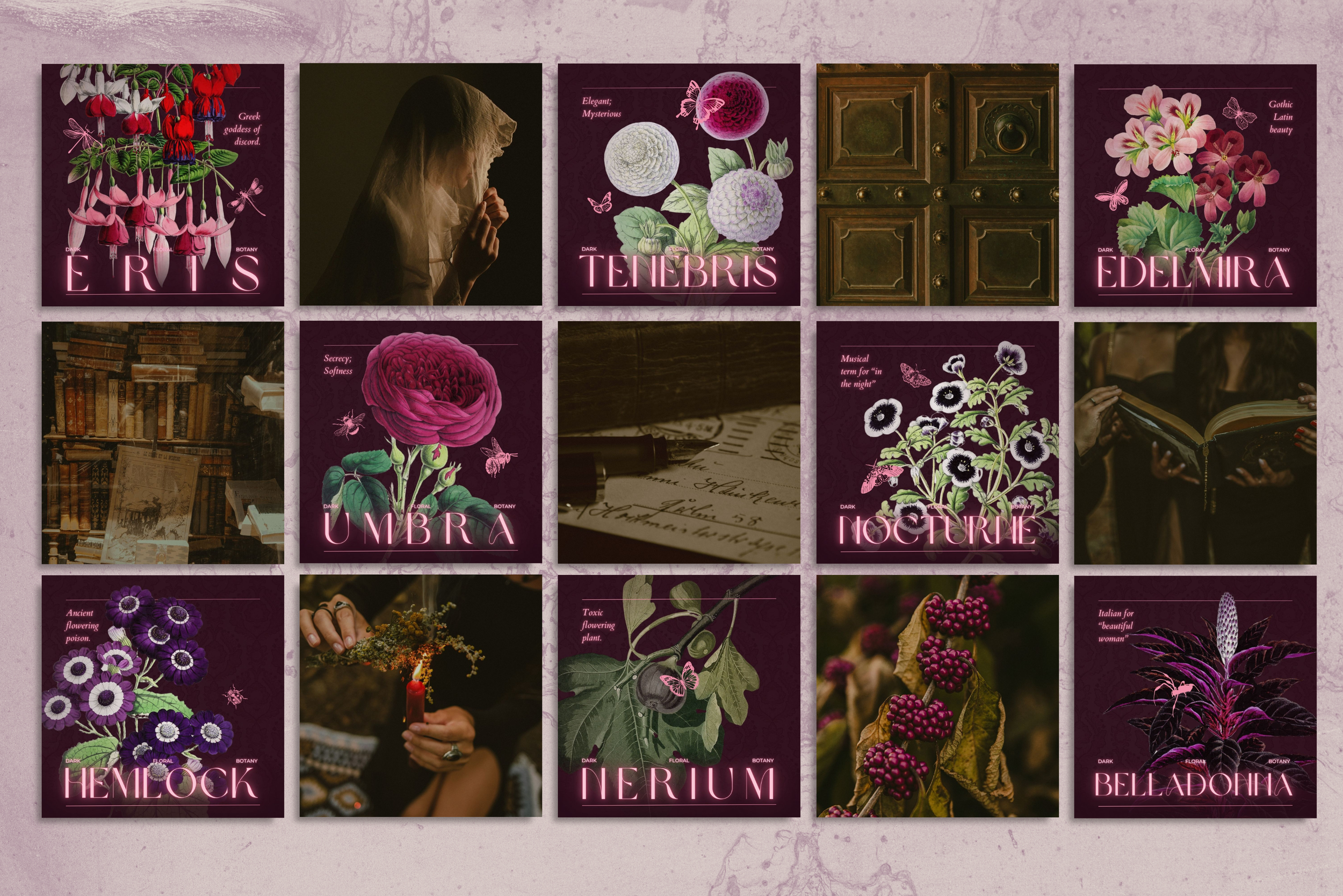 Dark Apothecary Canva Template Bundle 11