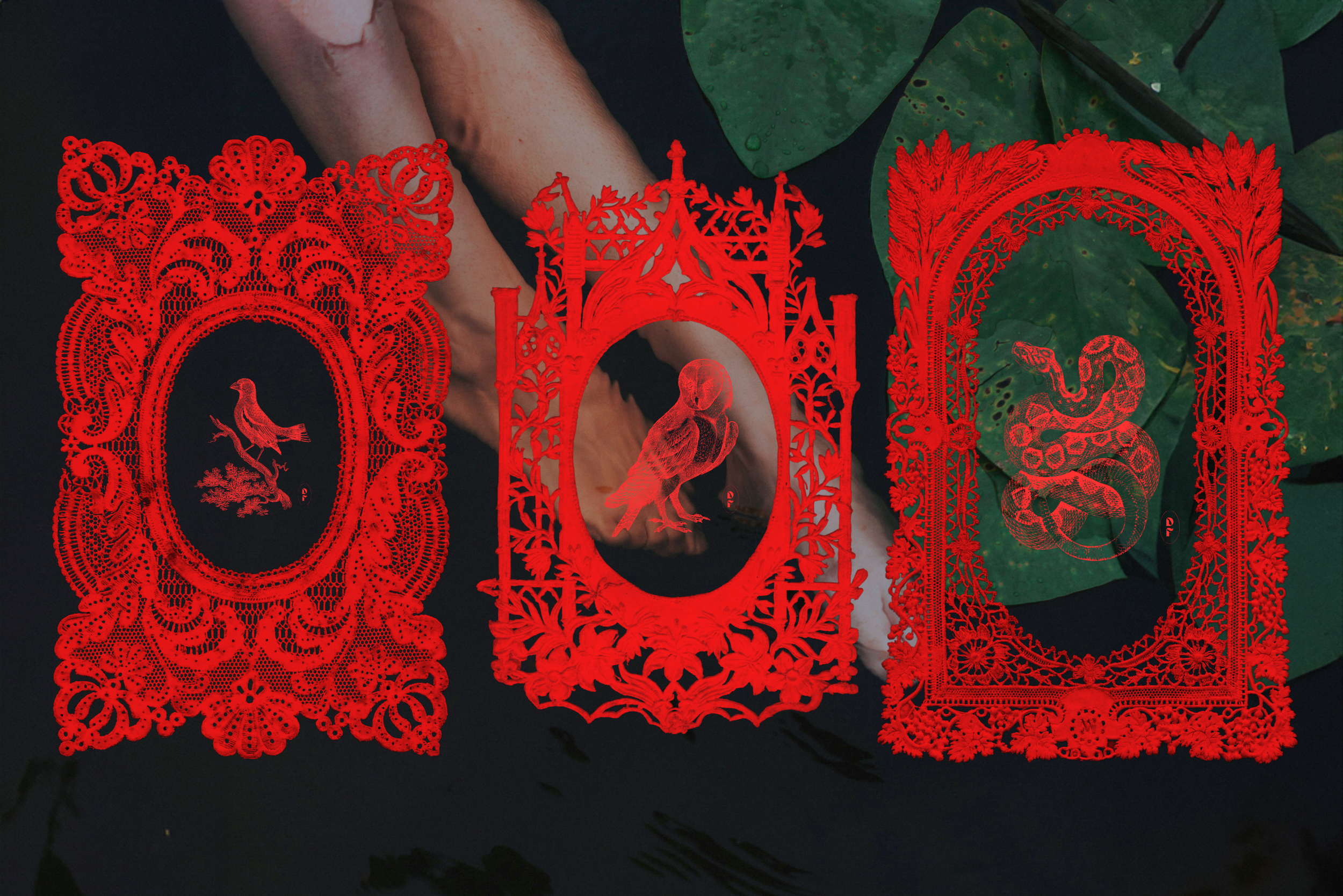 Sacred Lace Frames 20