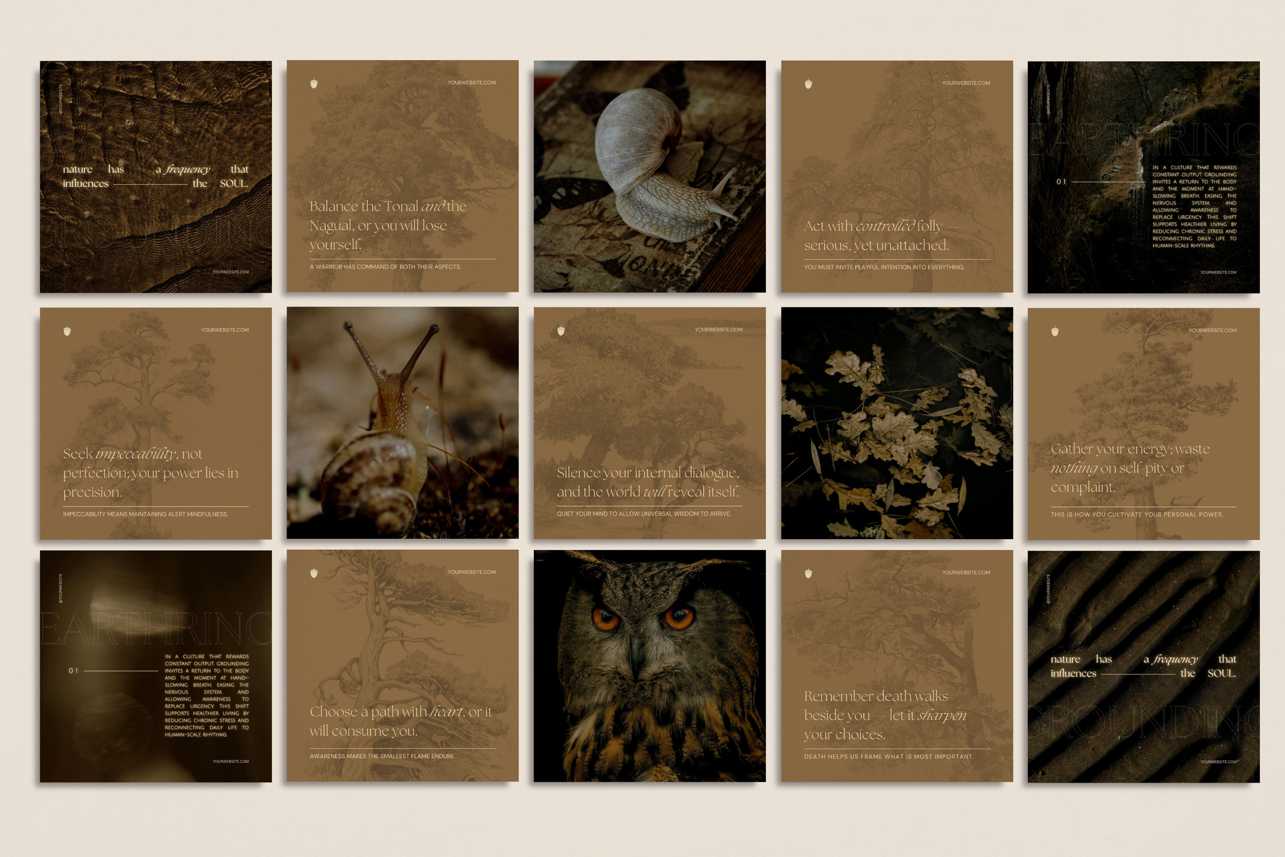 The Naturalist Canva Social Media Bundle 8