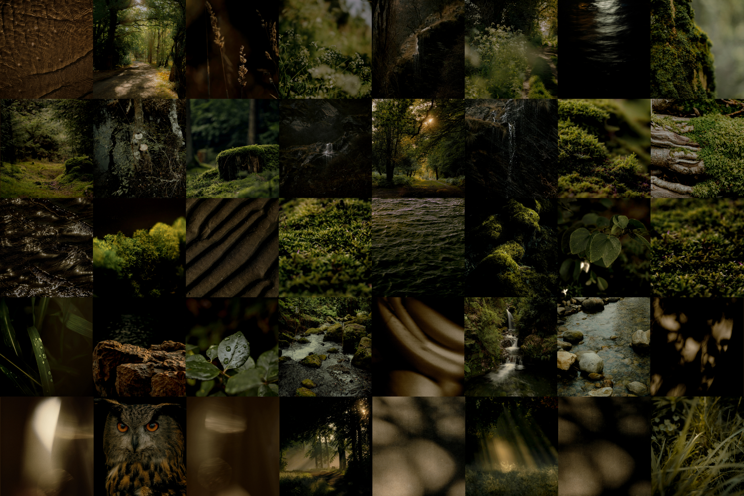 The Naturalist Canva Social Media Bundle 17