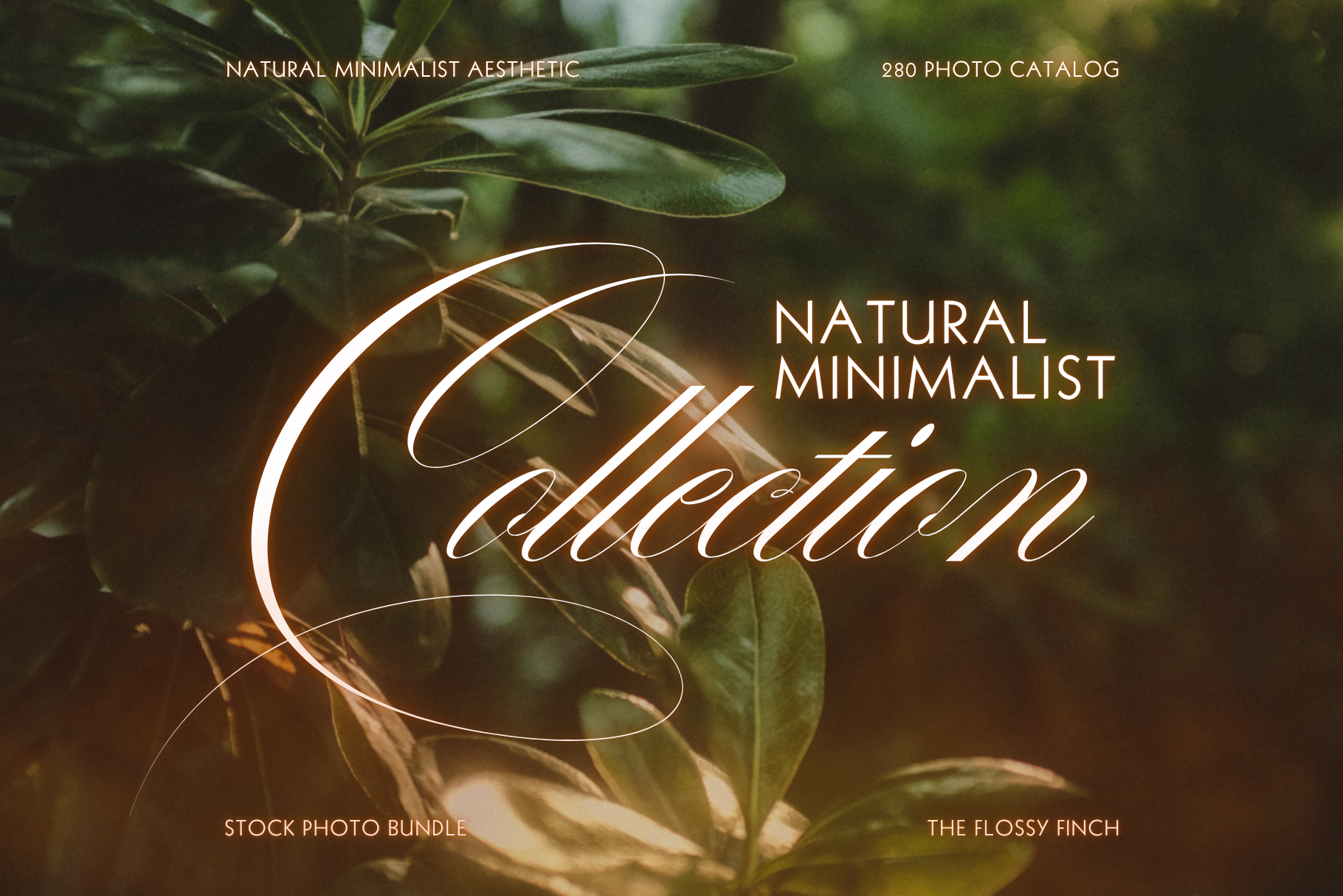 Natural Minimalist Stock Photo Bundle 14