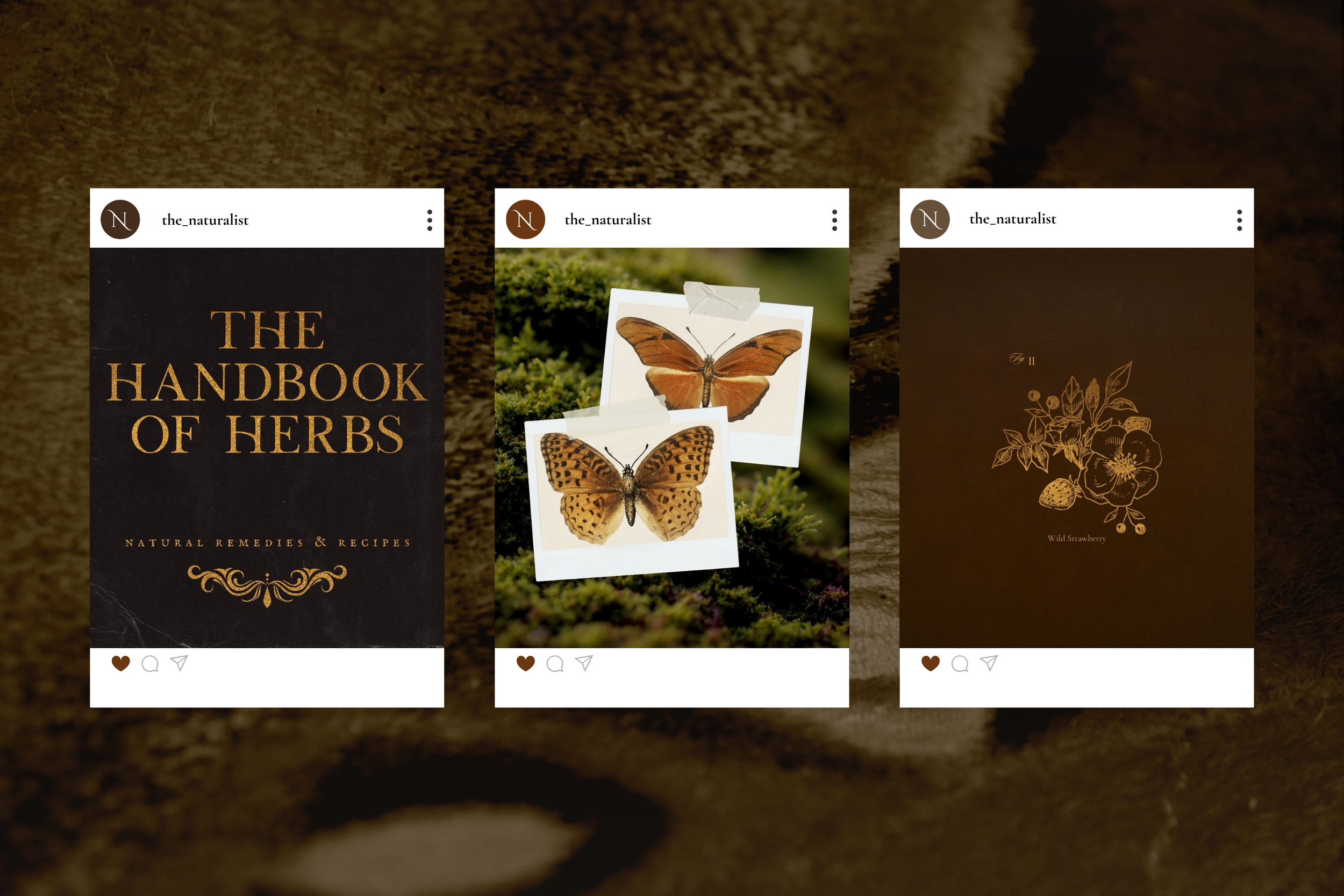 The Naturalist Canva Social Media Bundle 10