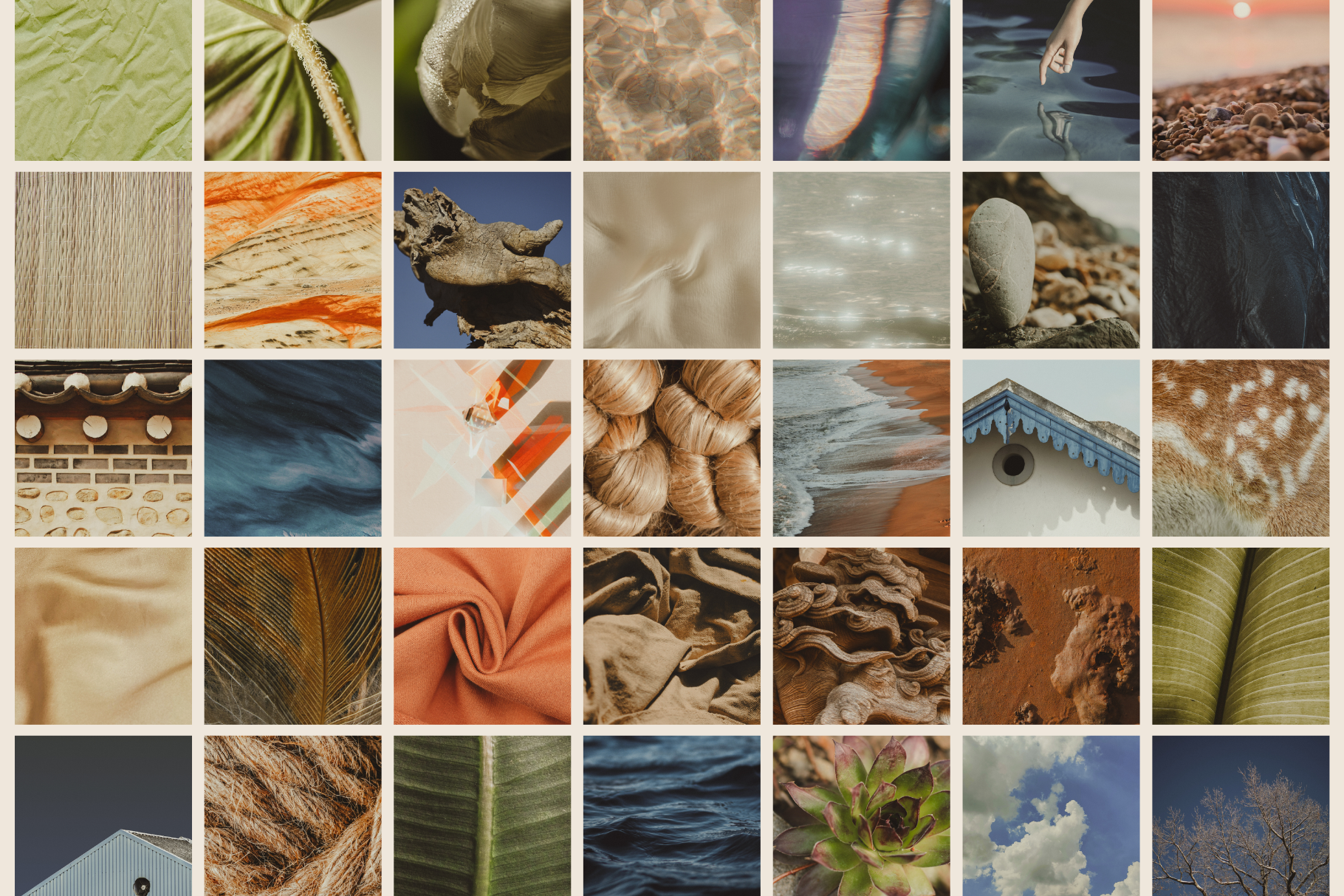 Natural Minimalist Stock Photo Bundle 11