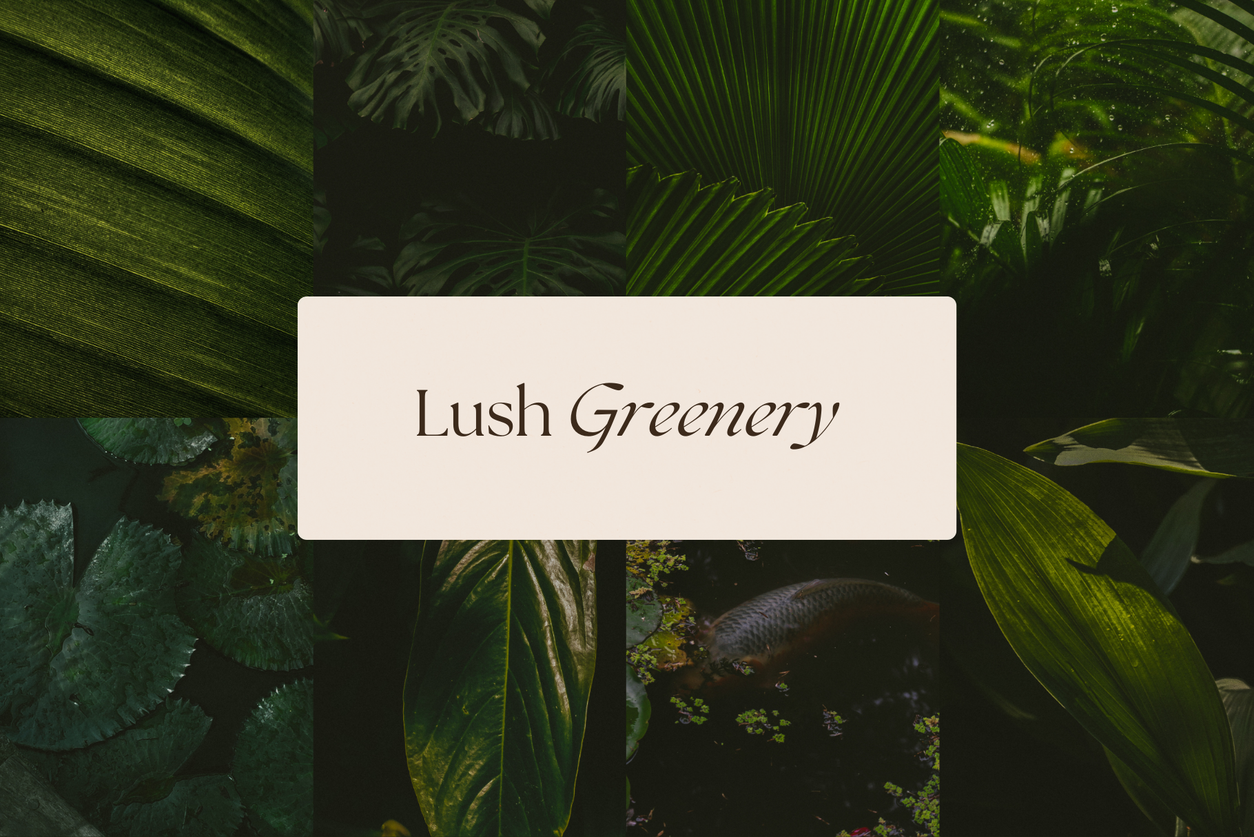 Dark Tropical Stock Photo Bundle 3
