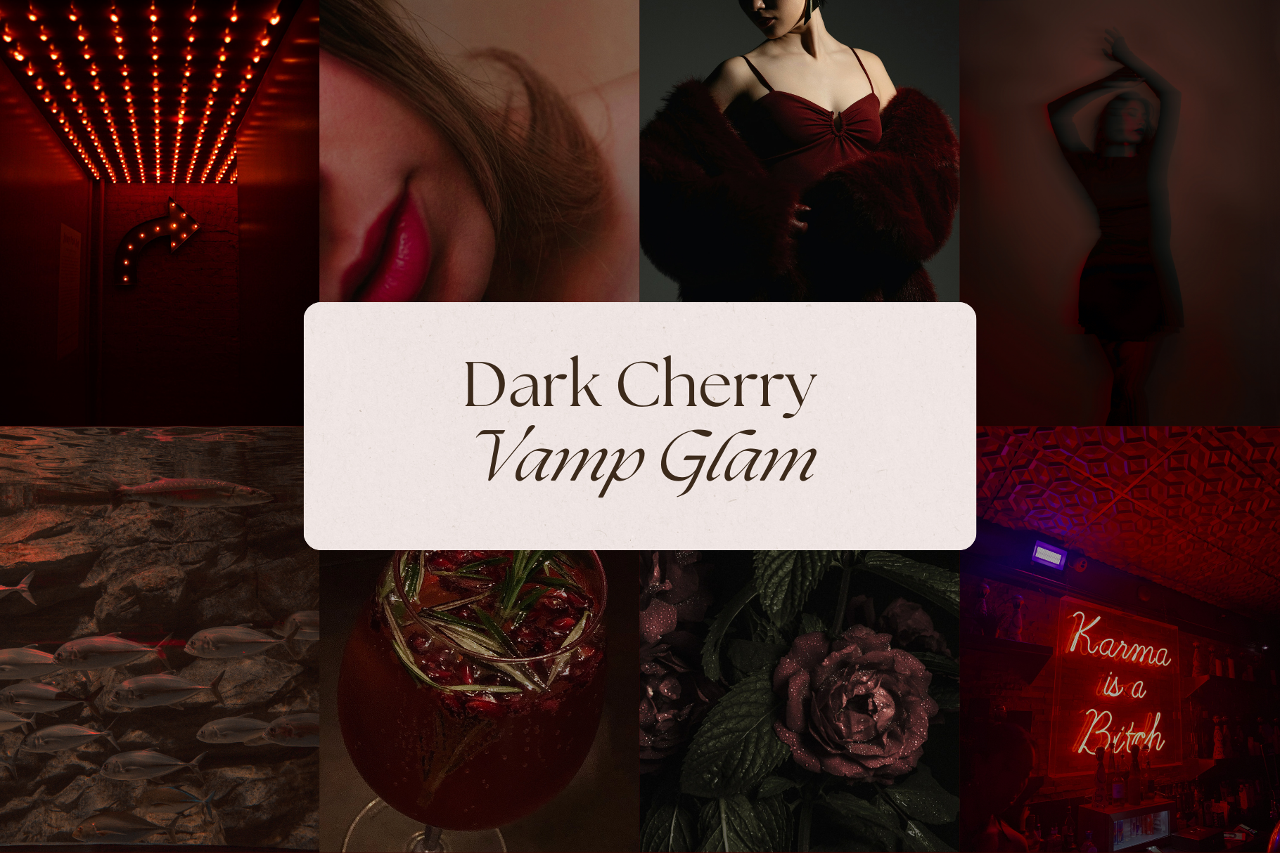 Dark Glamour Stock Photo Bundle 6