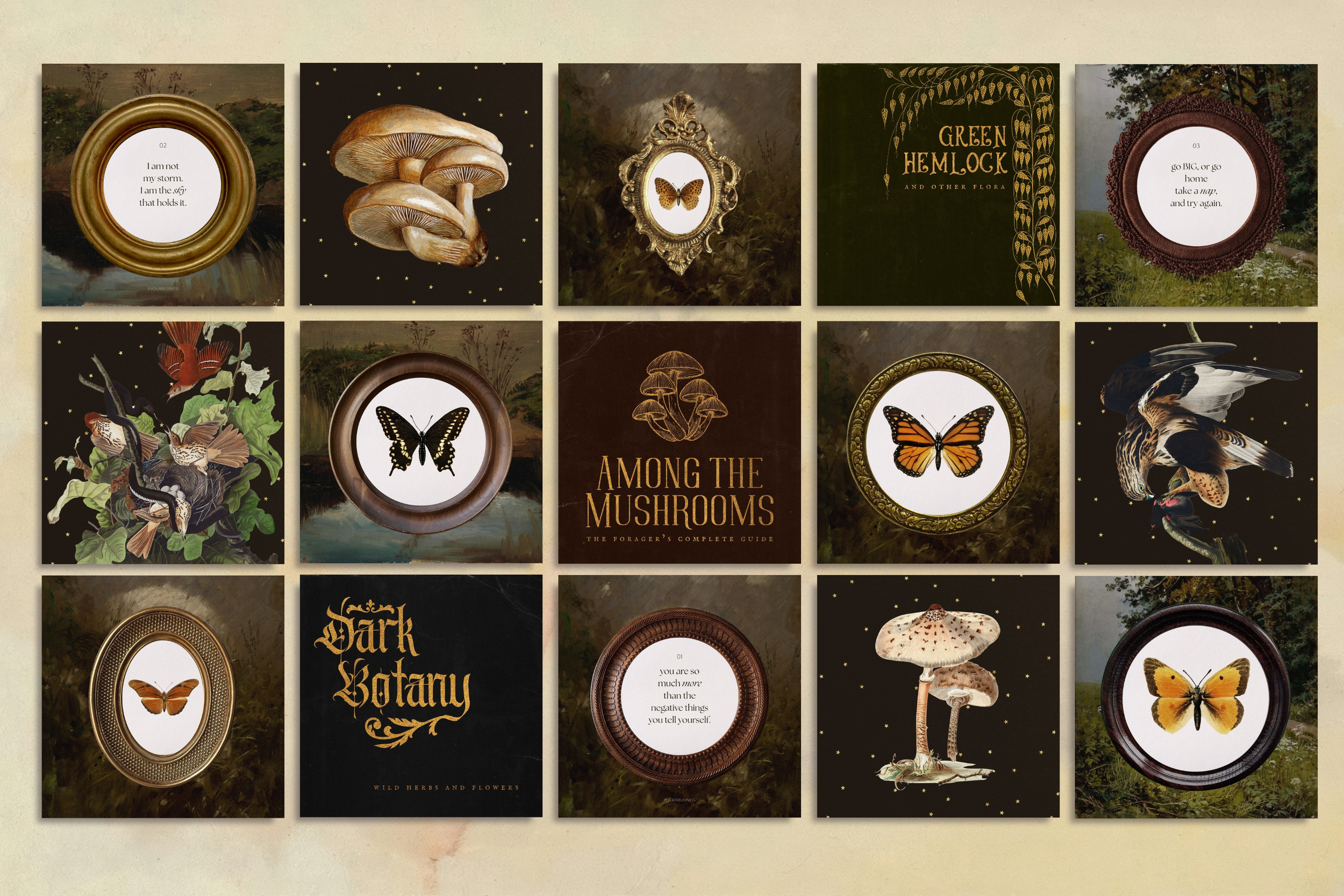 The Naturalist Canva Social Media Bundle 7