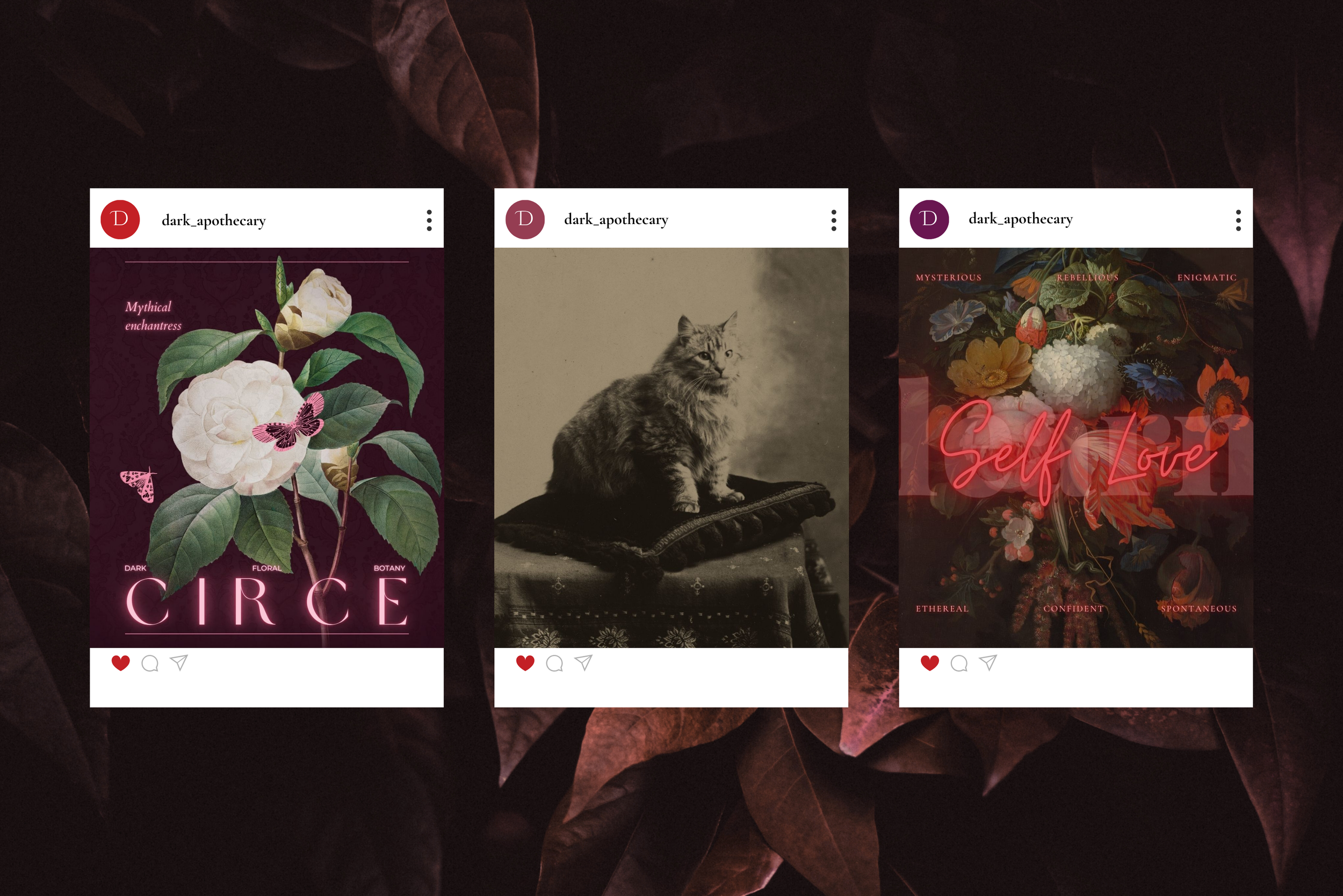 Dark Apothecary Canva Template Bundle 9