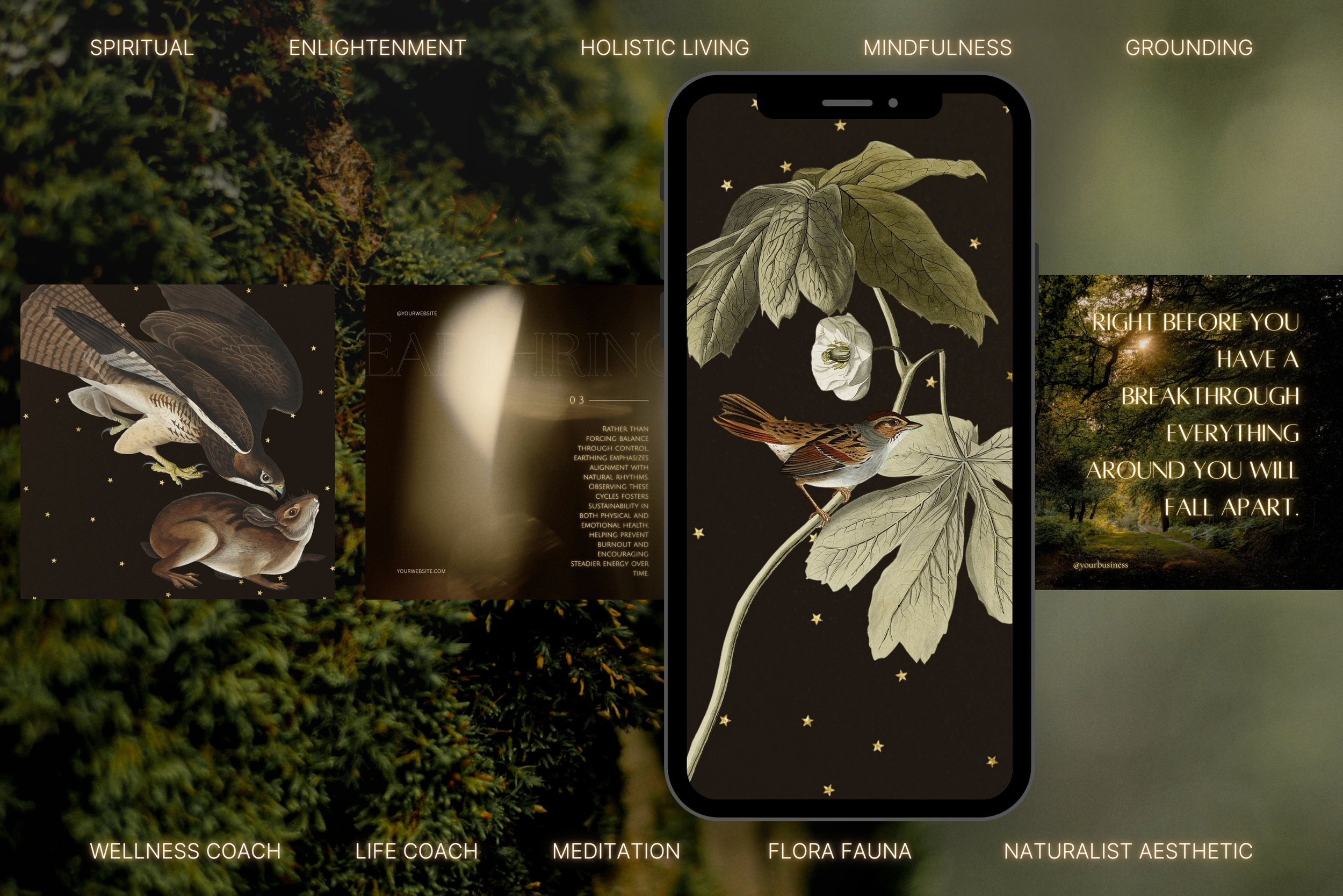 The Naturalist Canva Social Media Bundle 3