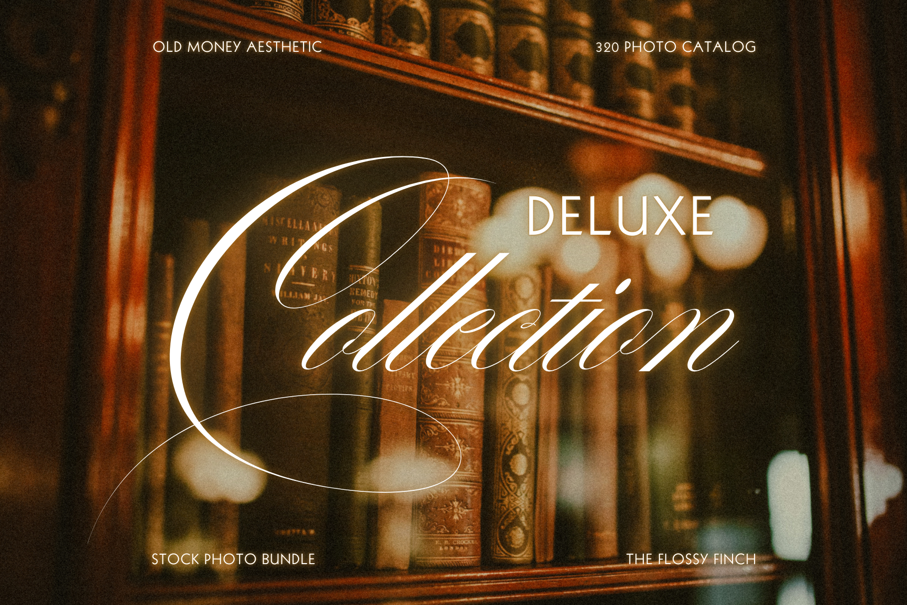 Old Money Stock Photo Bundle 10