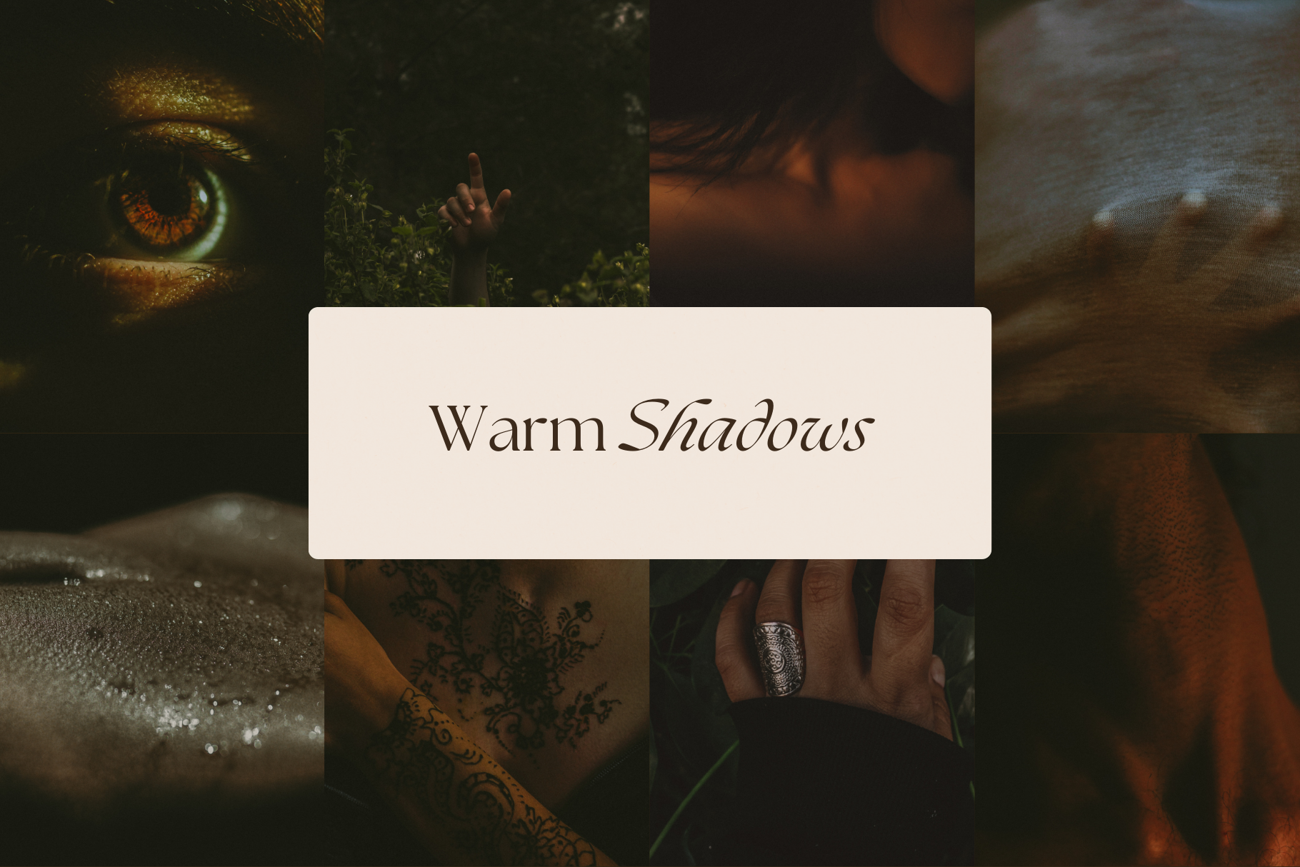 Dark Tropical Stock Photo Bundle 4