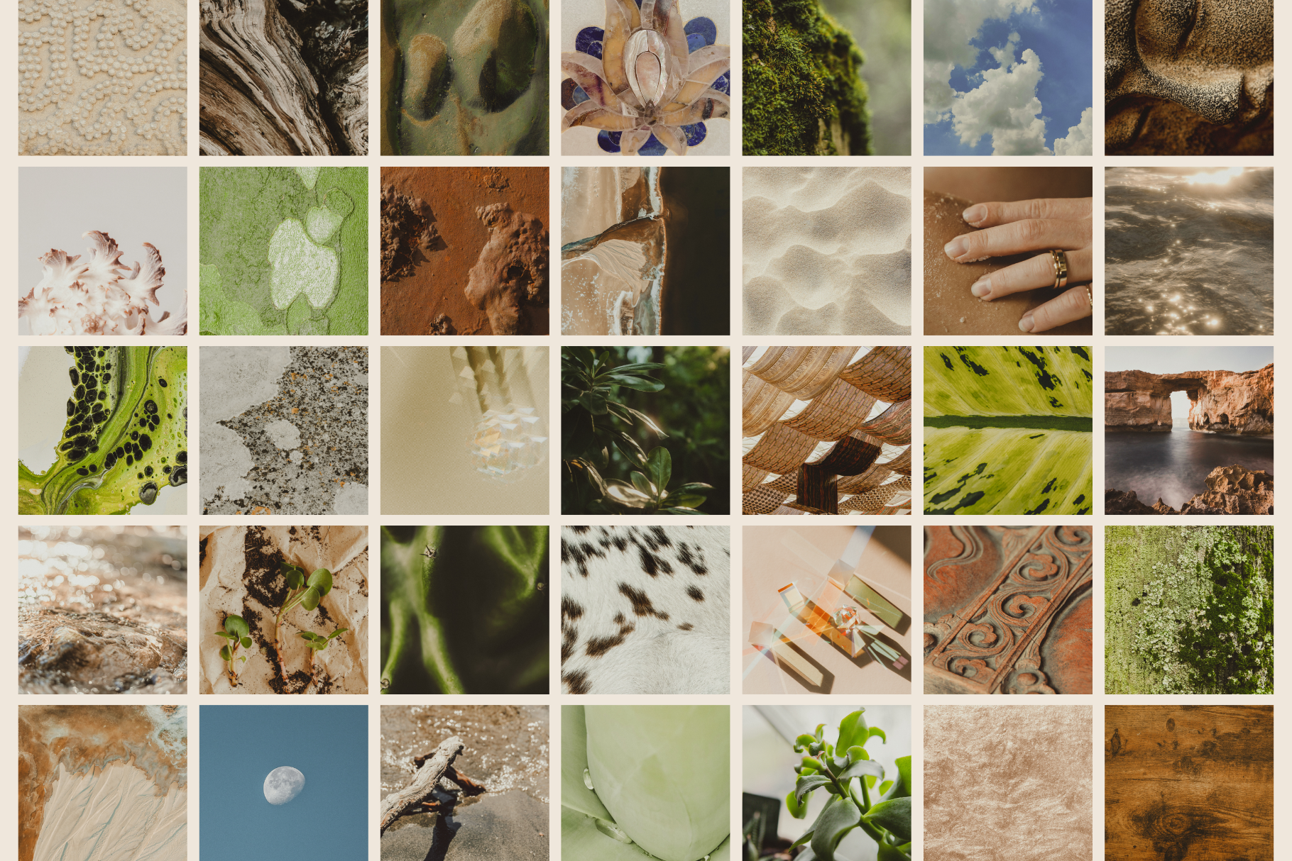 Natural Minimalist Stock Photo Bundle 12