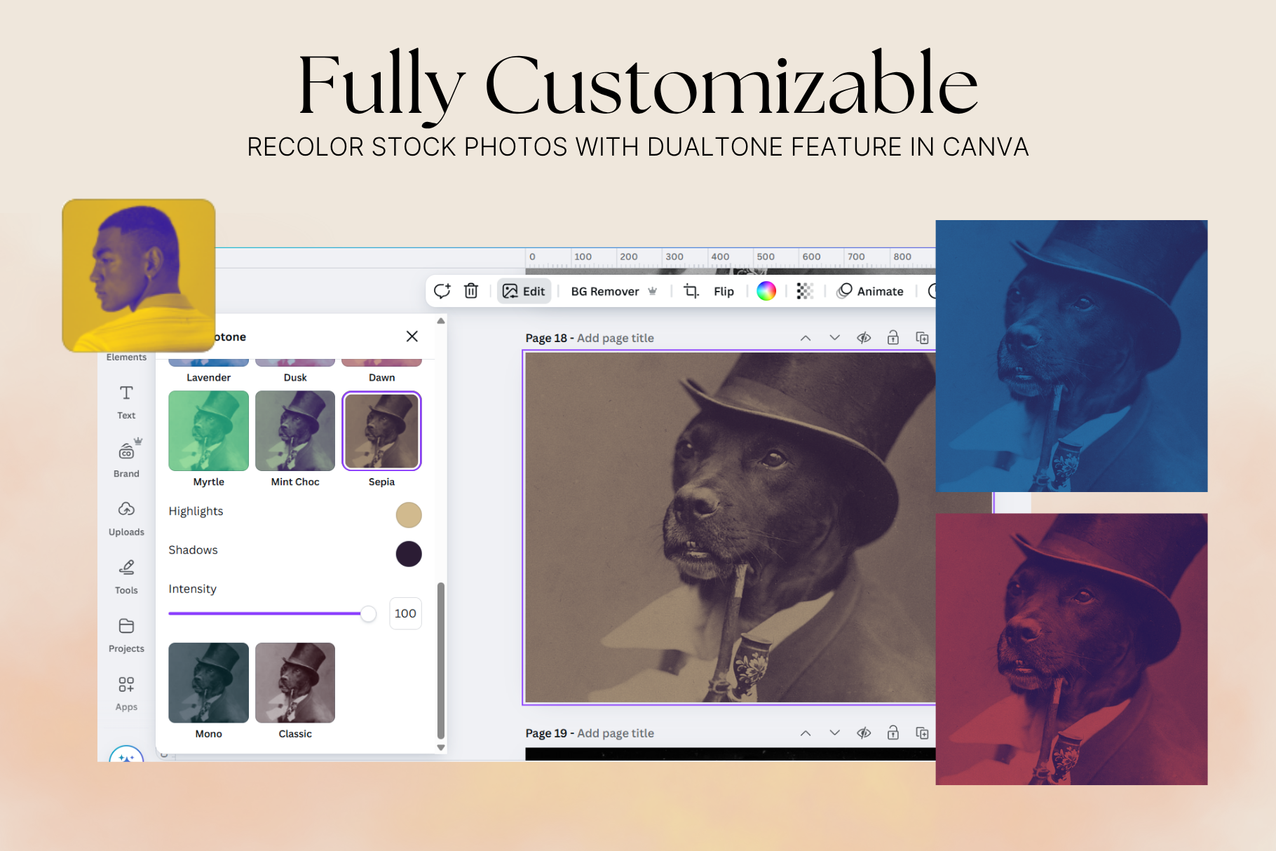 Dark Ephemera Stock Photo Bundle 14