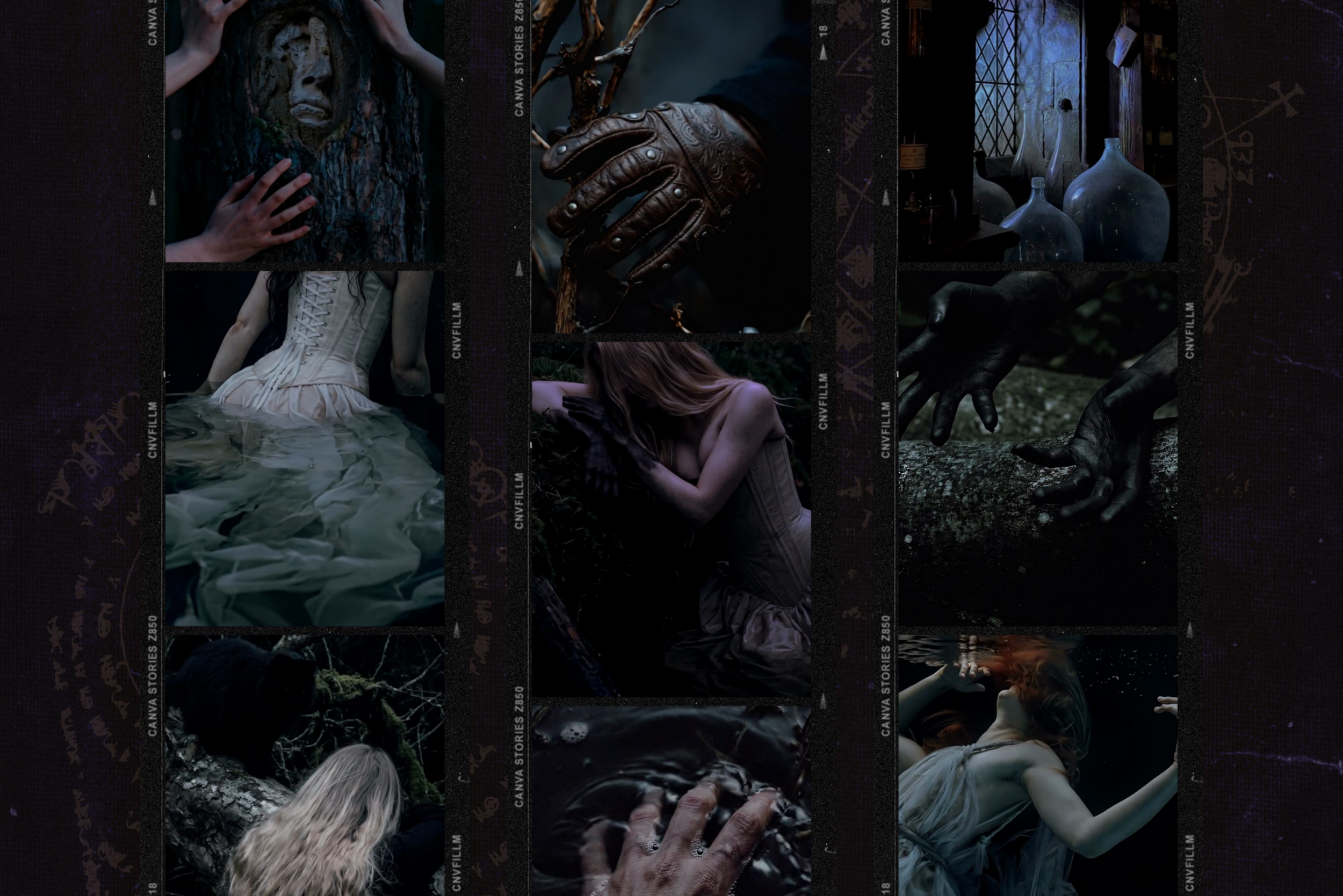 Darkwood Video Collection 13