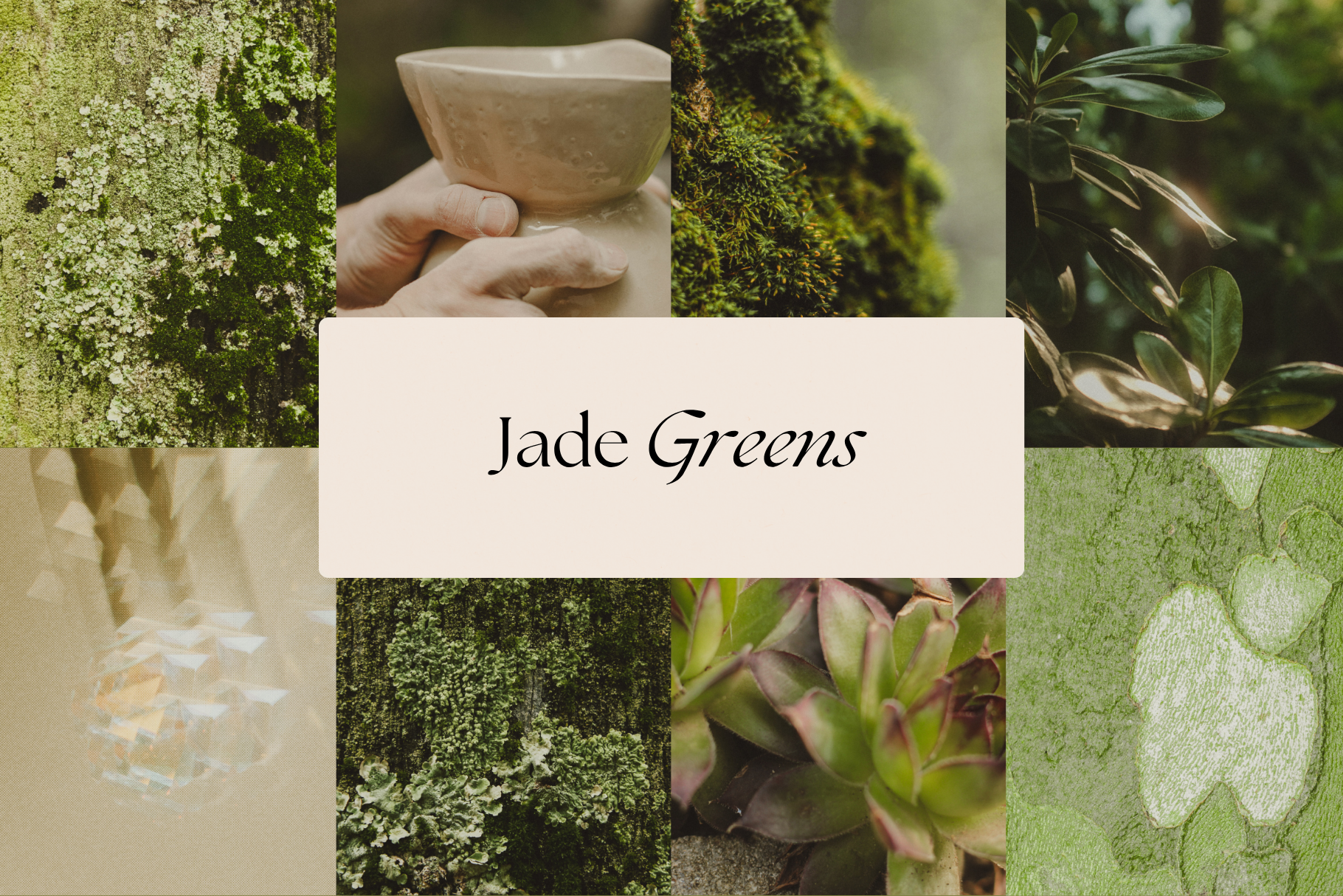 Natural Minimalist Stock Photo Bundle 8