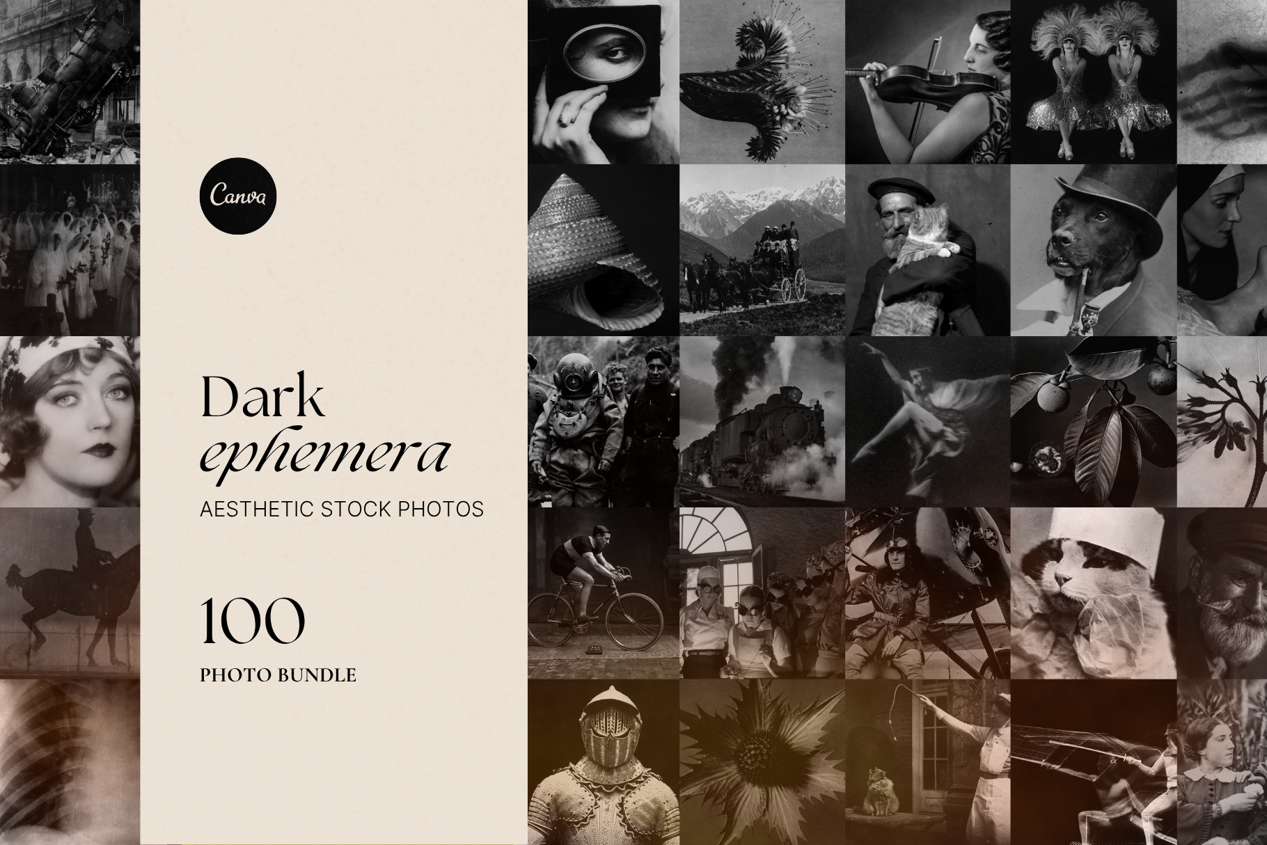 Dark Ephemera Stock Photo Bundle