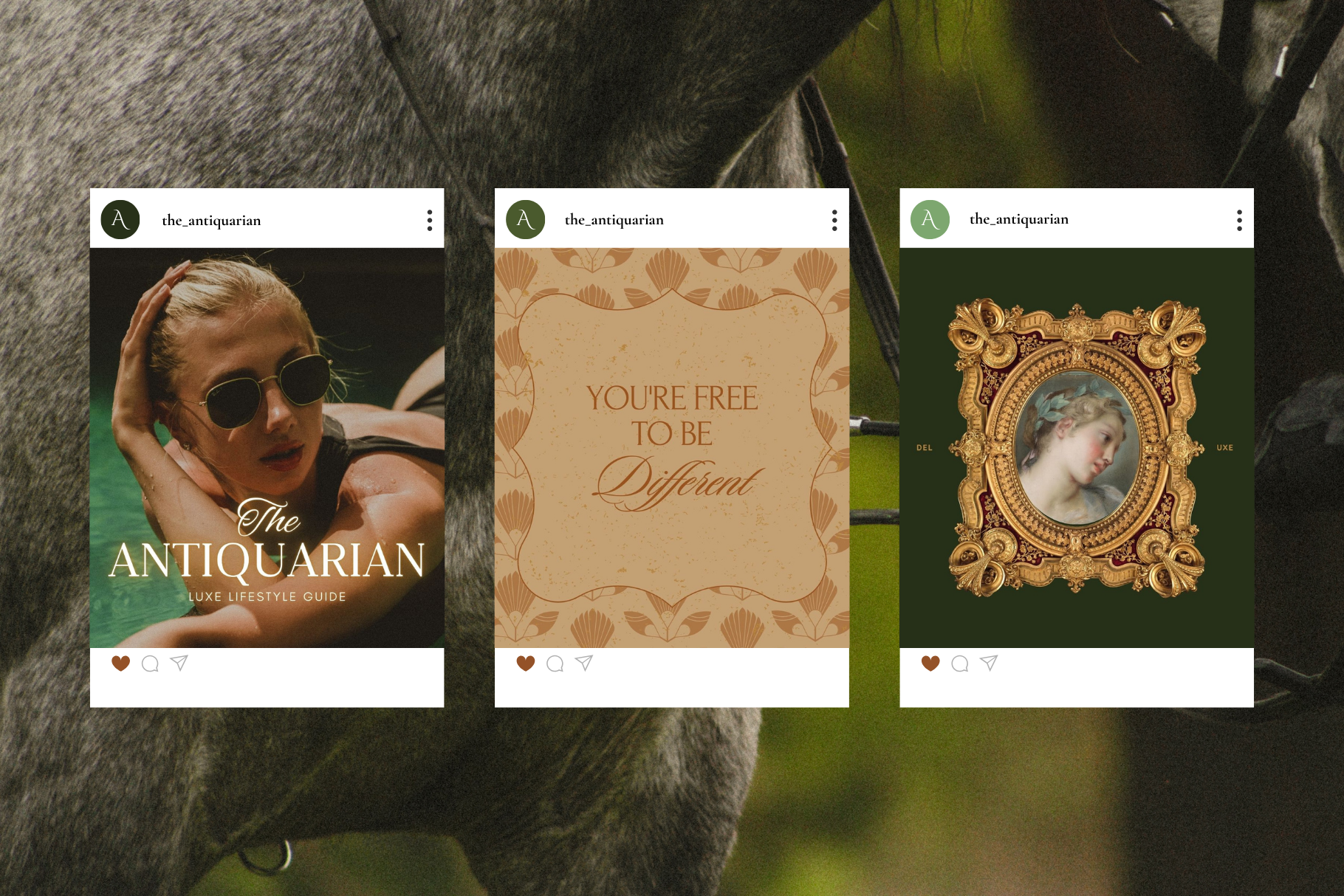 The Antiquarian Canva Template Bundle 14