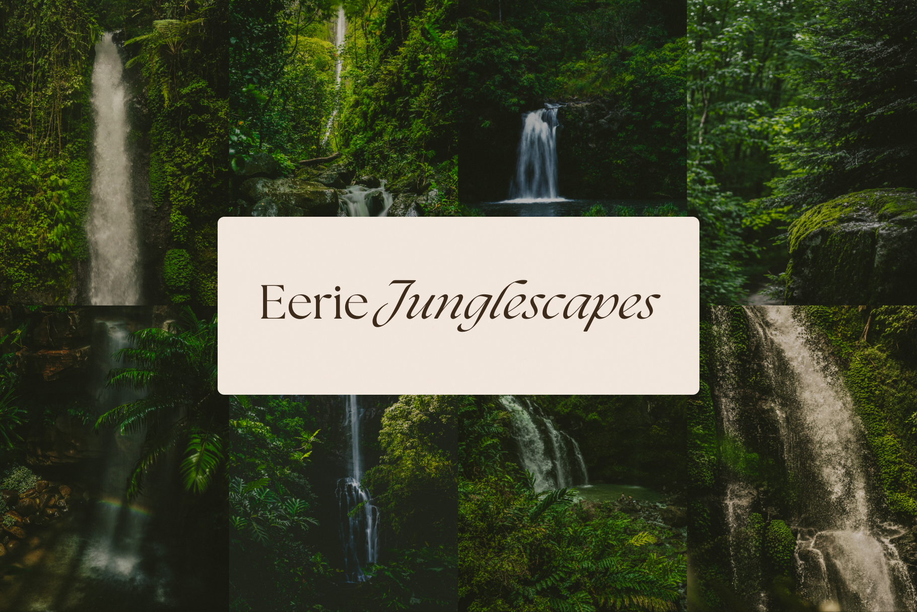 Dark Tropical Stock Photo Bundle 7