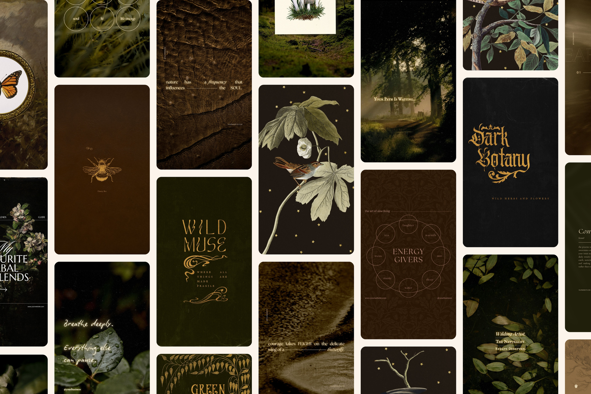 The Naturalist Canva Social Media Bundle 14