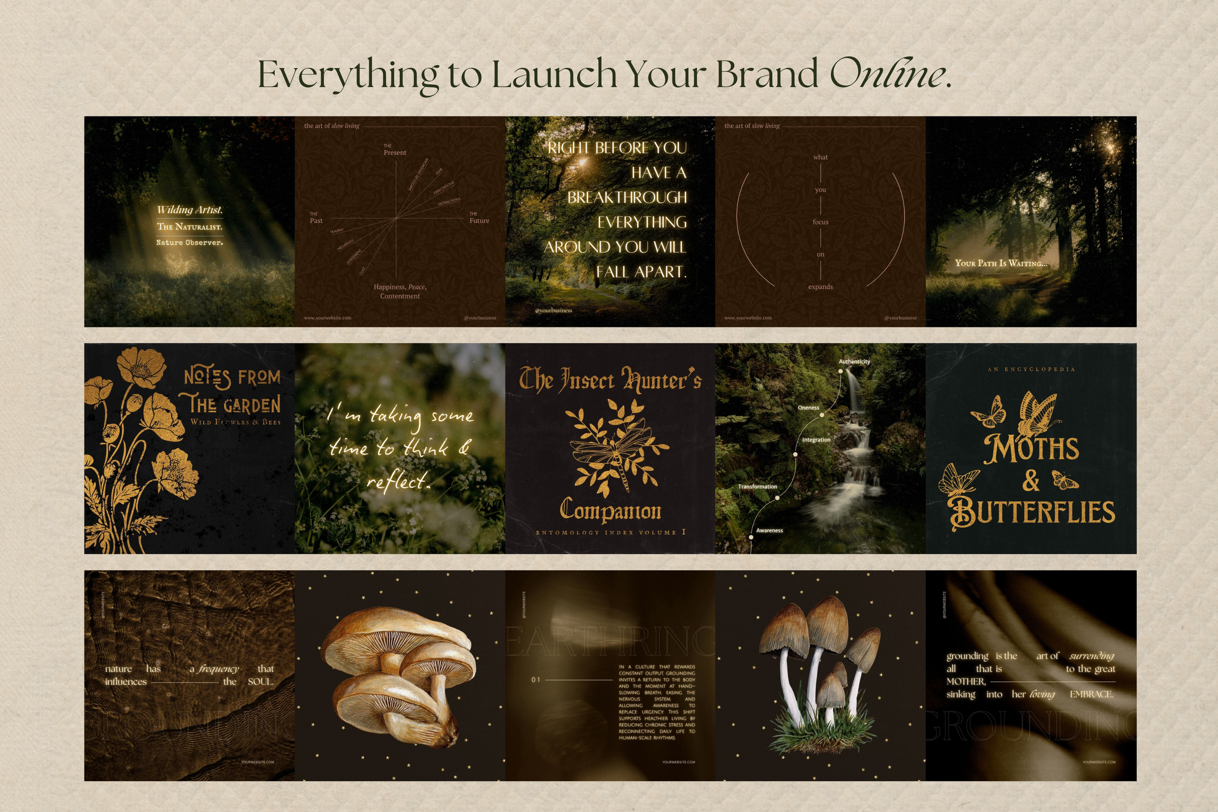 The Naturalist Canva Social Media Bundle 16