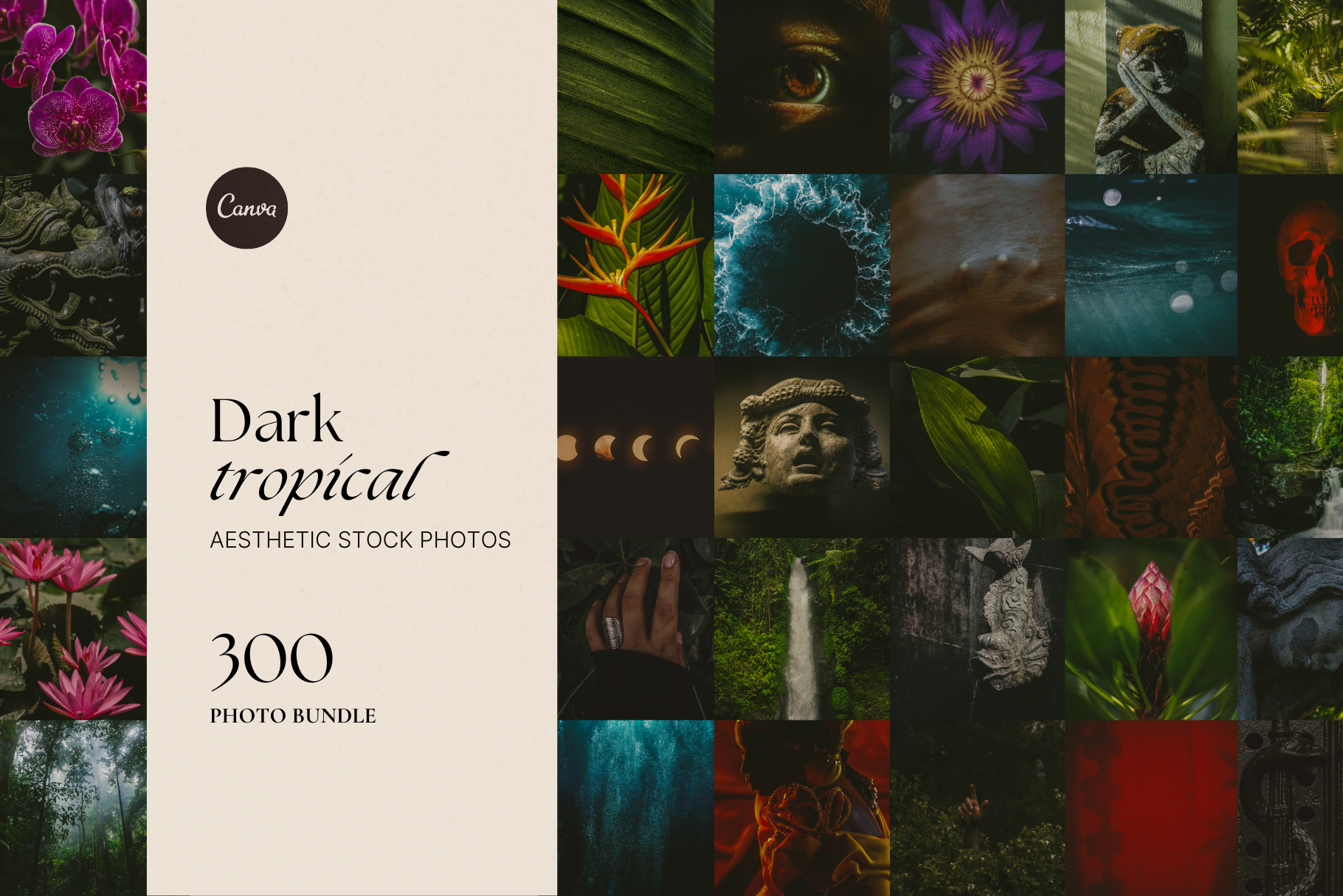 Dark Tropical Stock Photo Bundle