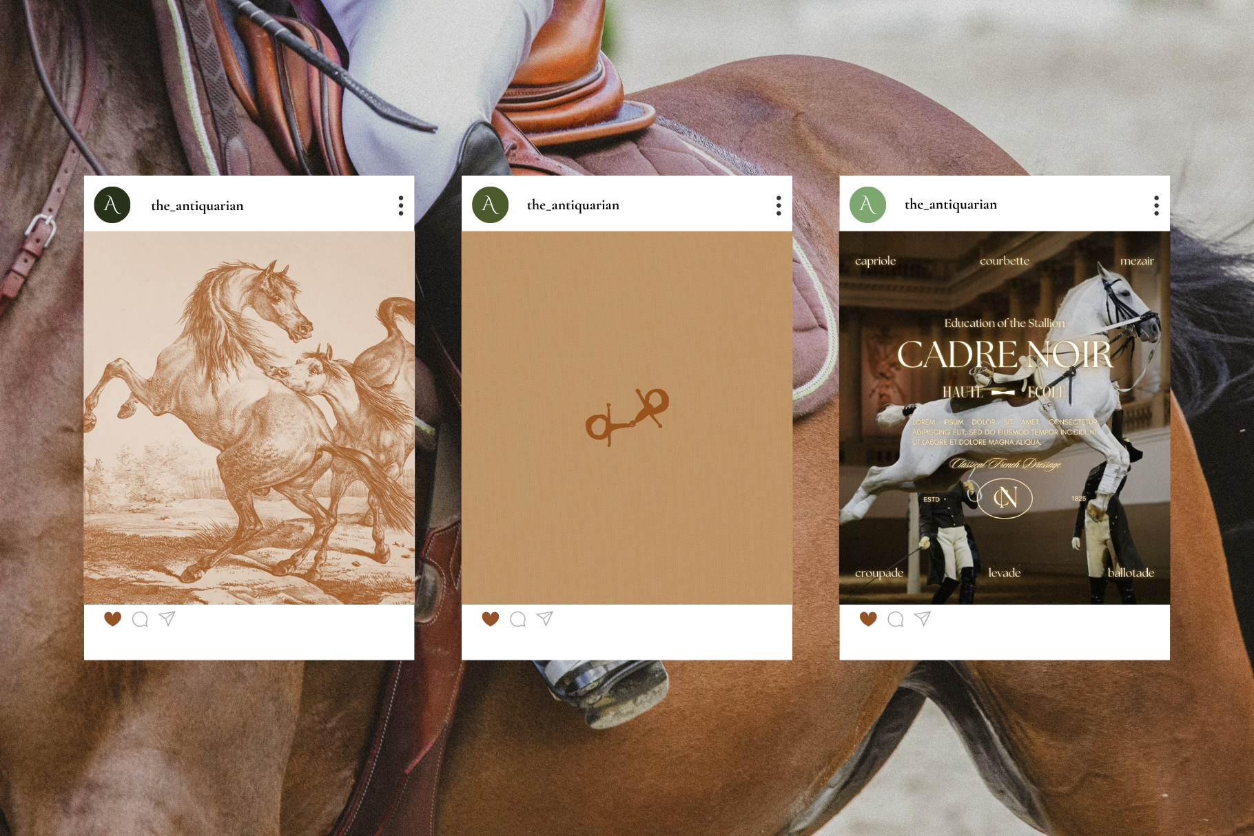 The Antiquarian Canva Template Bundle 11