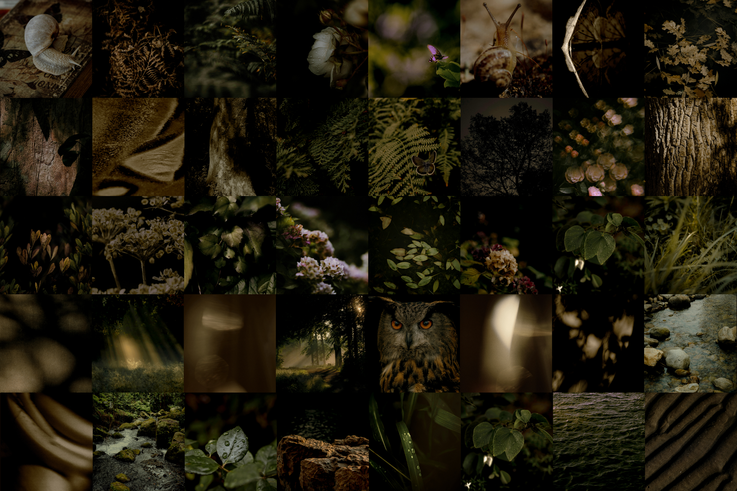 The Naturalist Canva Social Media Bundle 18