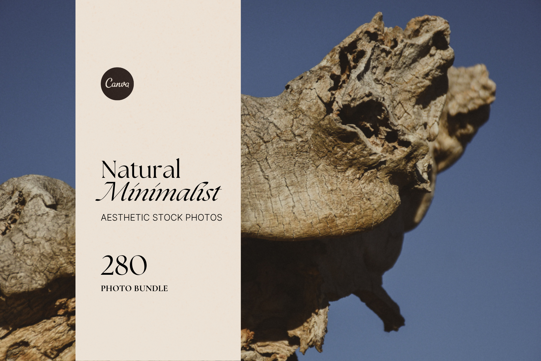 Natural Minimalist Stock Photo Bundle 15