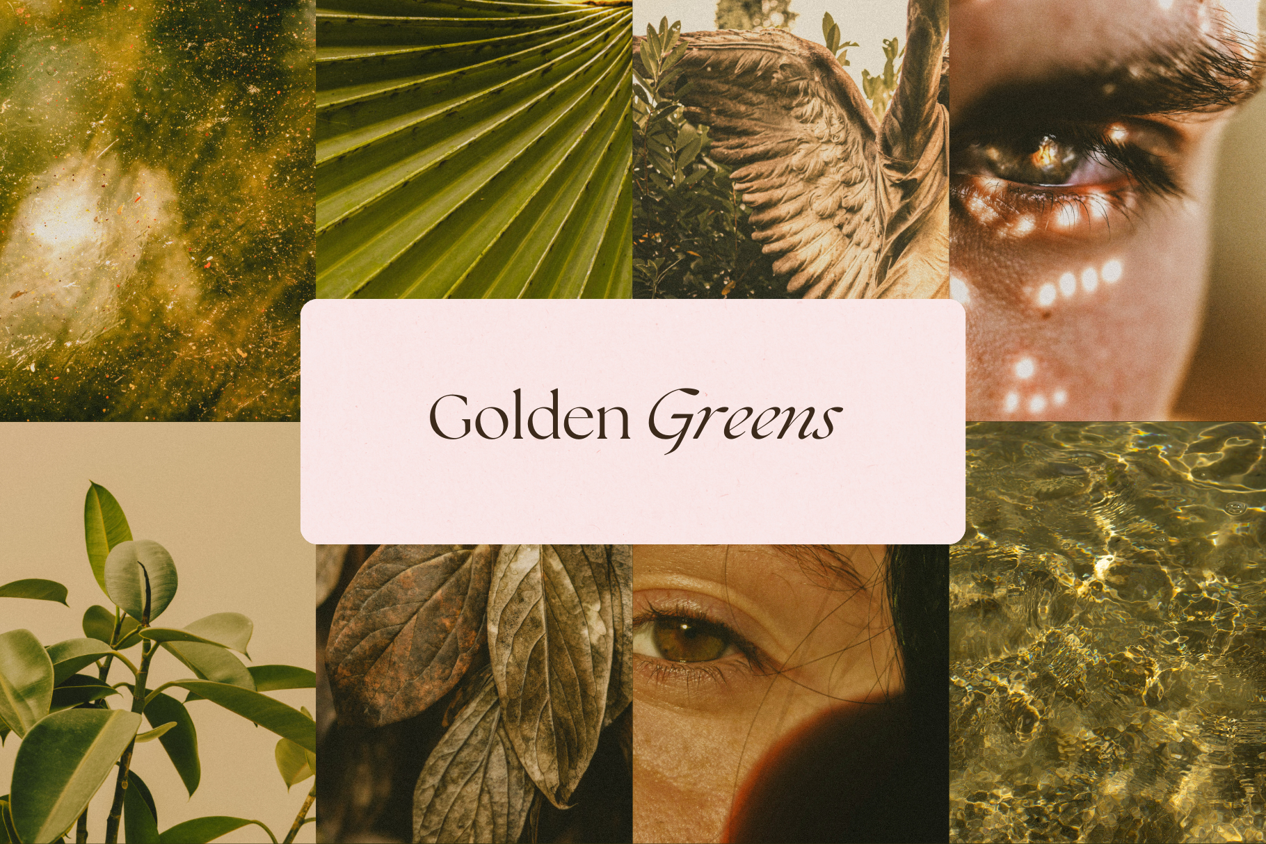 Celestial Gold Stock Photo Bundle 4