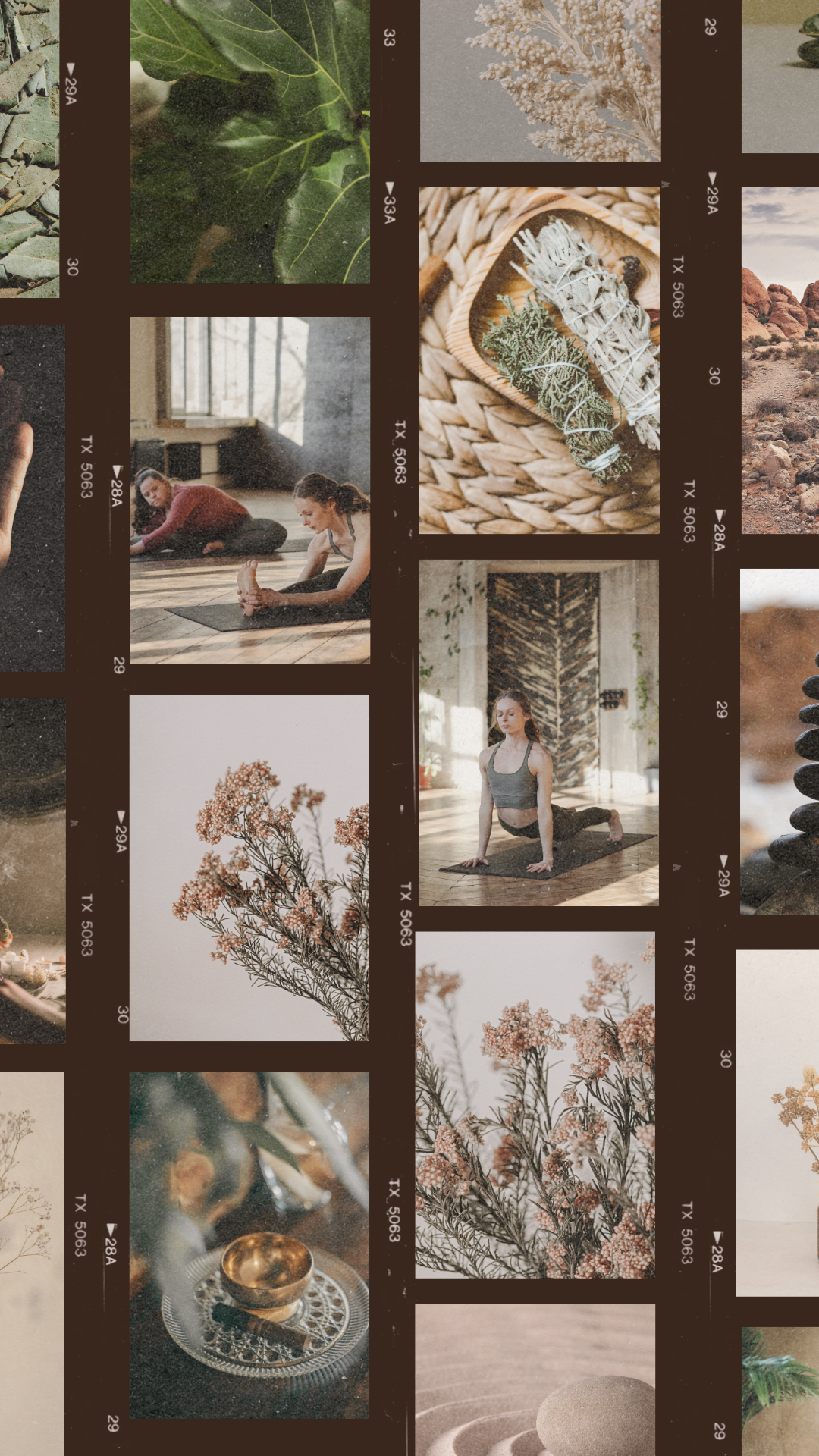 A collage of images including herbal plants, a desert landscape, a yoga class, dried flowers, and stones arranged for meditation, with creative film strip borders.