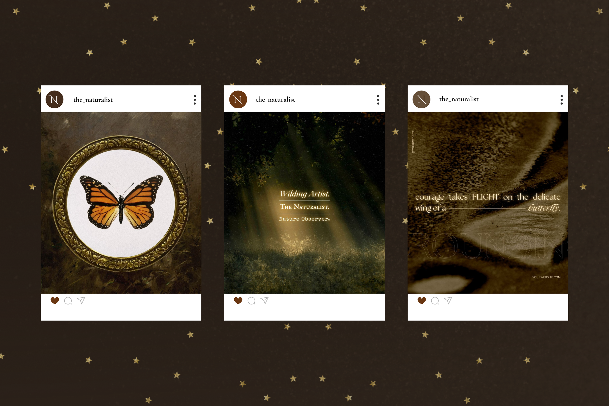 The Naturalist Canva Social Media Bundle 12