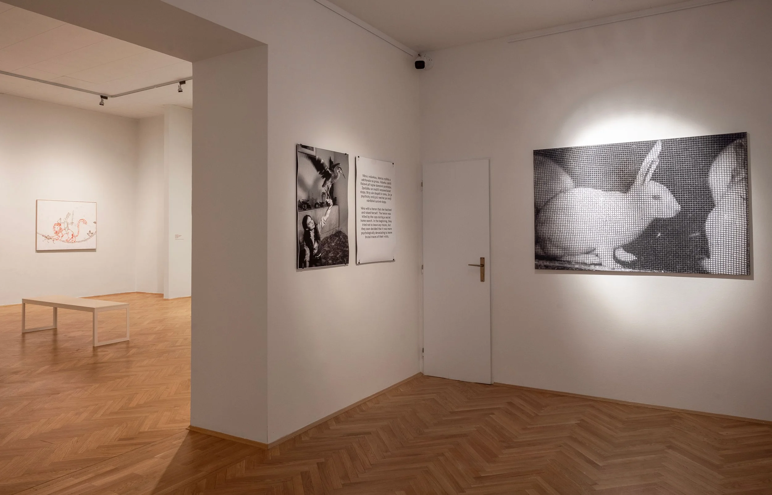 lac_26_e2-sagl-ova-ONLINE (1).jpg