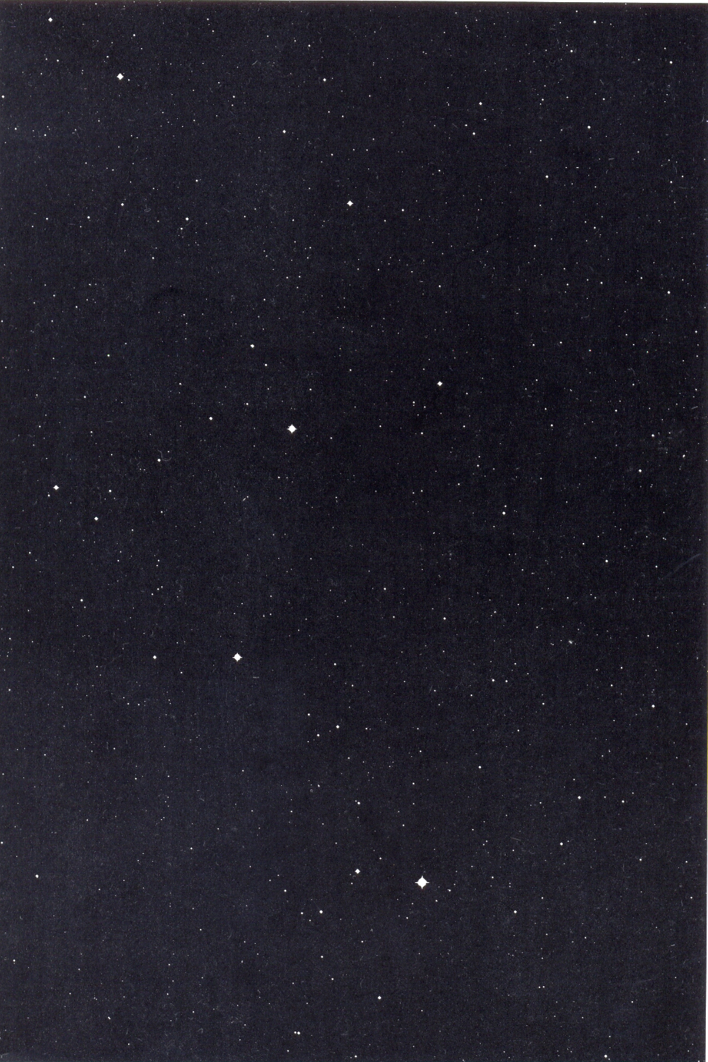 Harvest of Resilience (Preview)